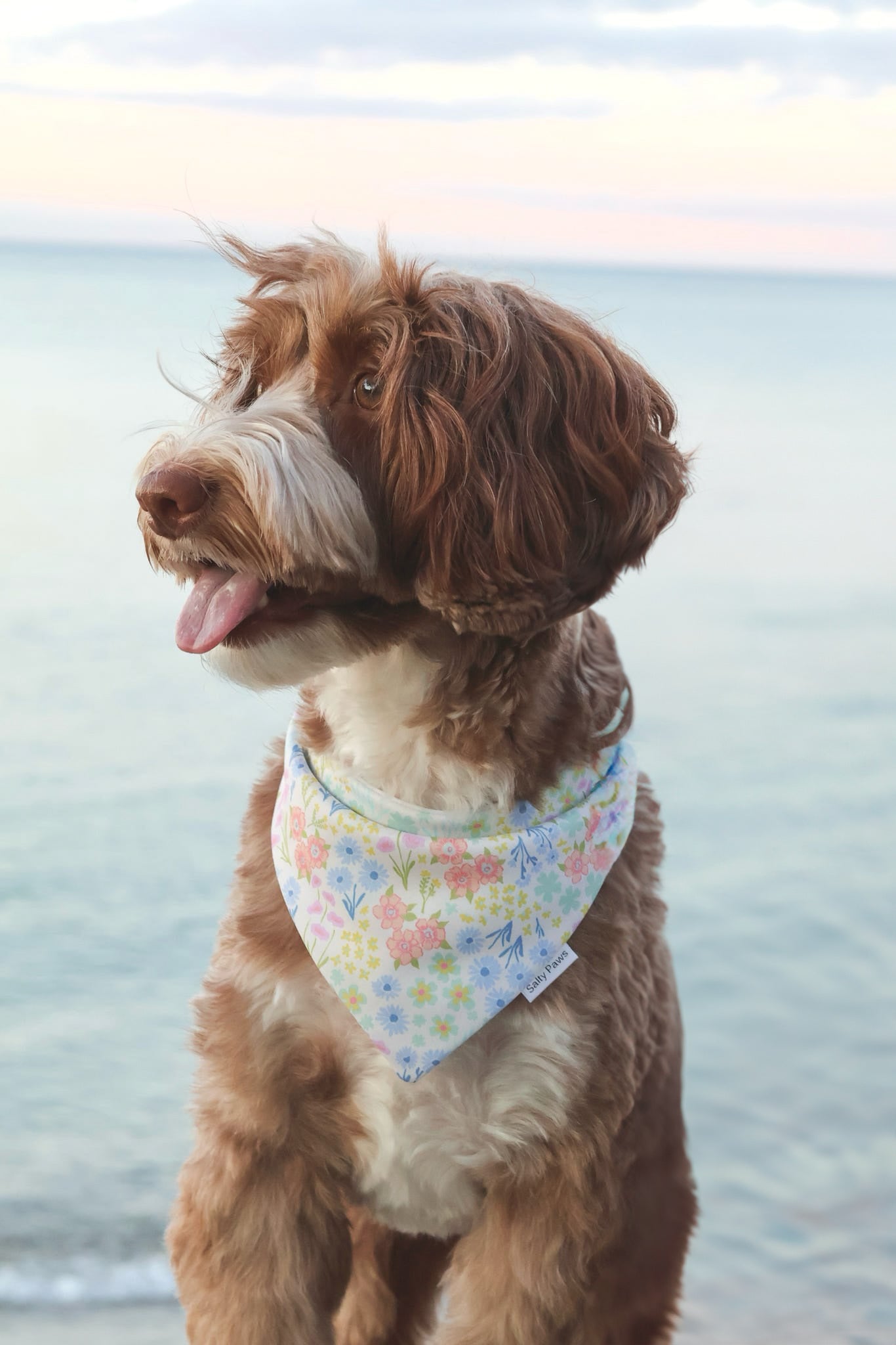 Bandanas