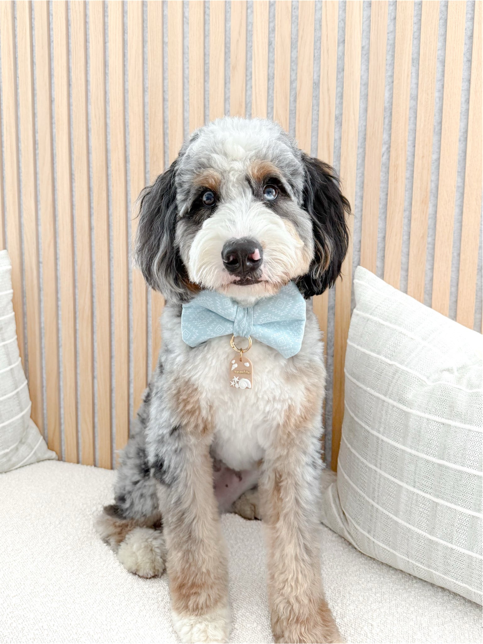 Bow Ties And Sailor Bows