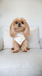 Wishes Bandana