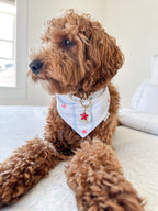 Seaside Stars Bandana