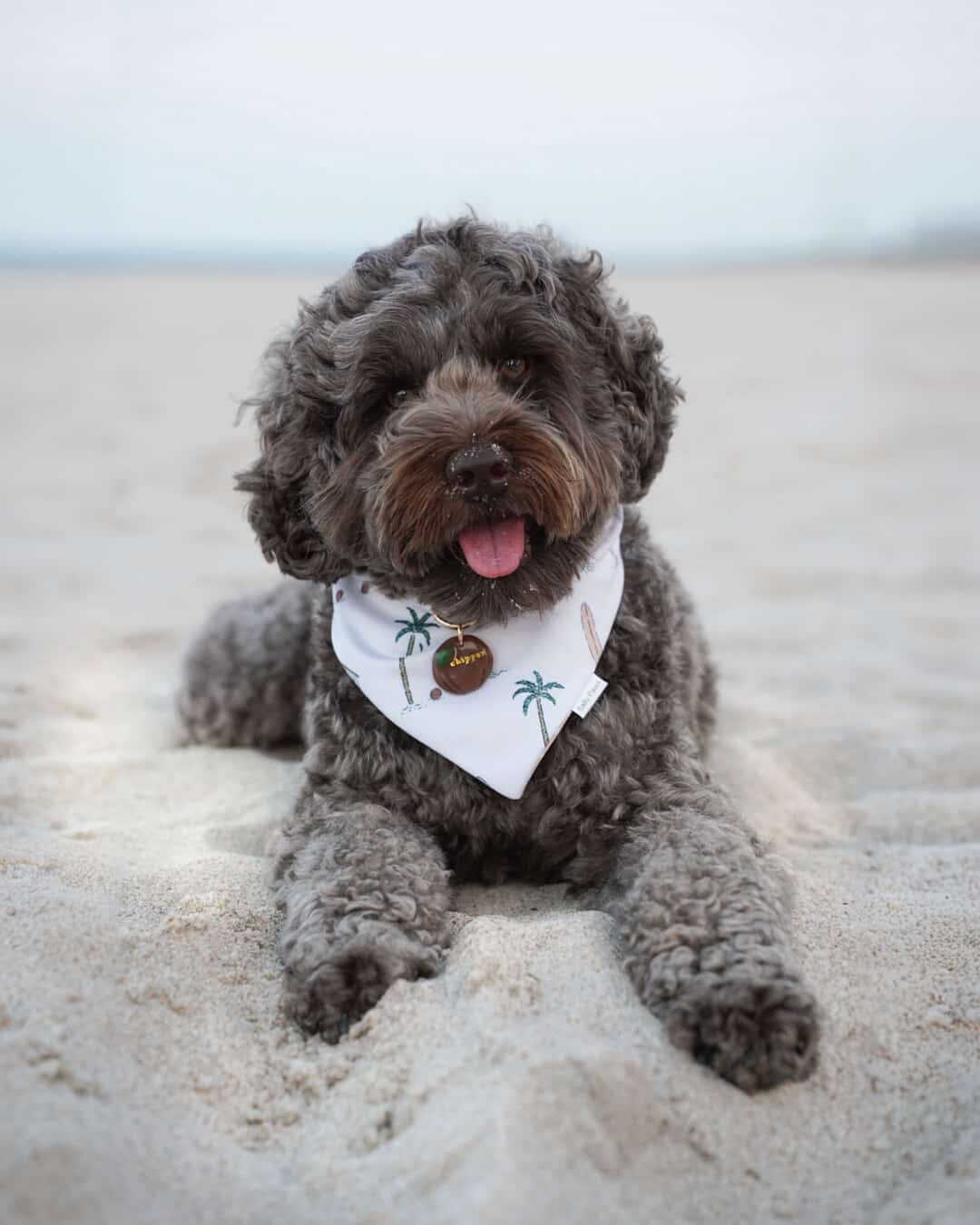 Surfside Cabana Bandana