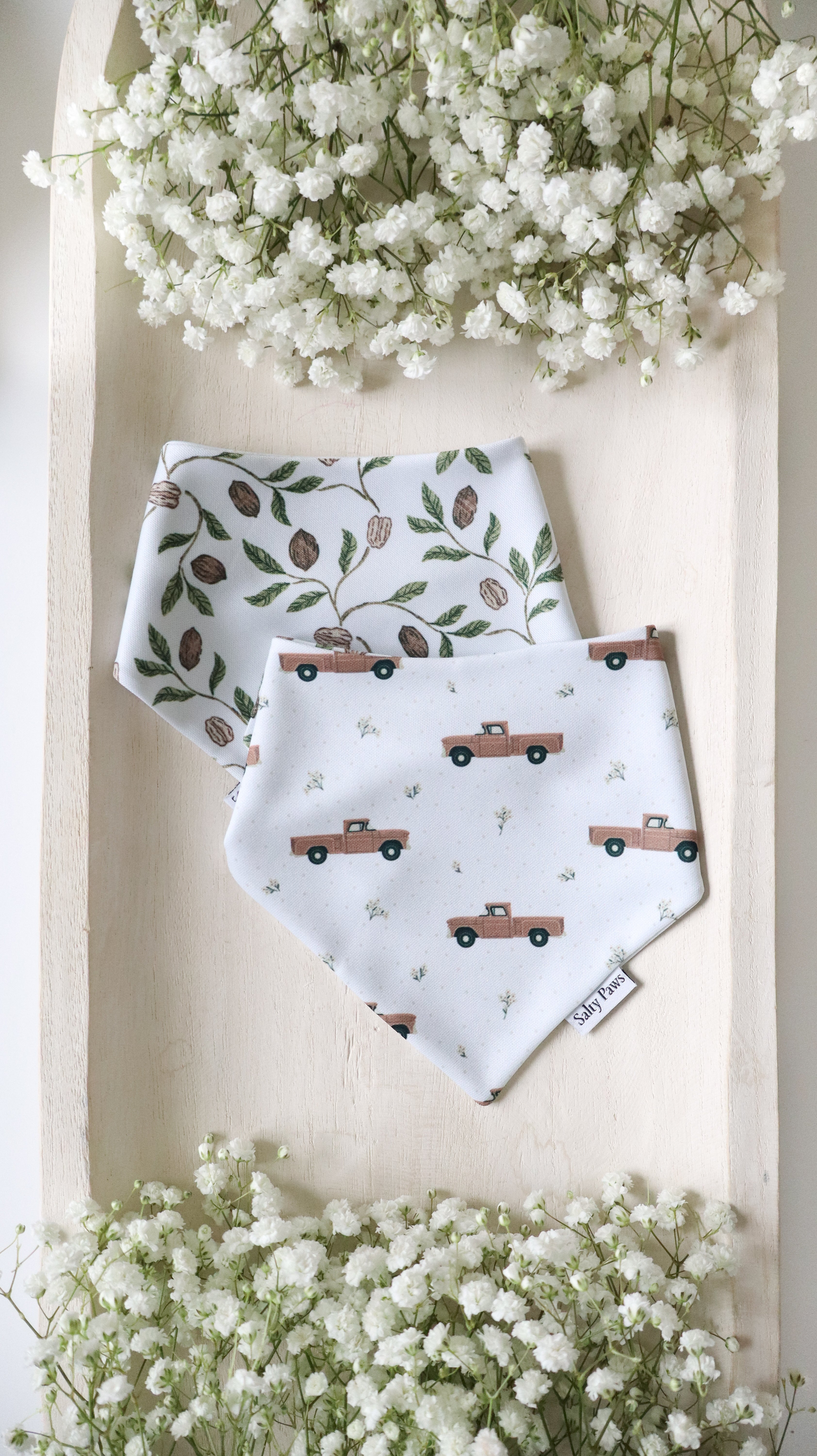 Pecan Grove Bandana