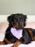 Rosalie Bandana