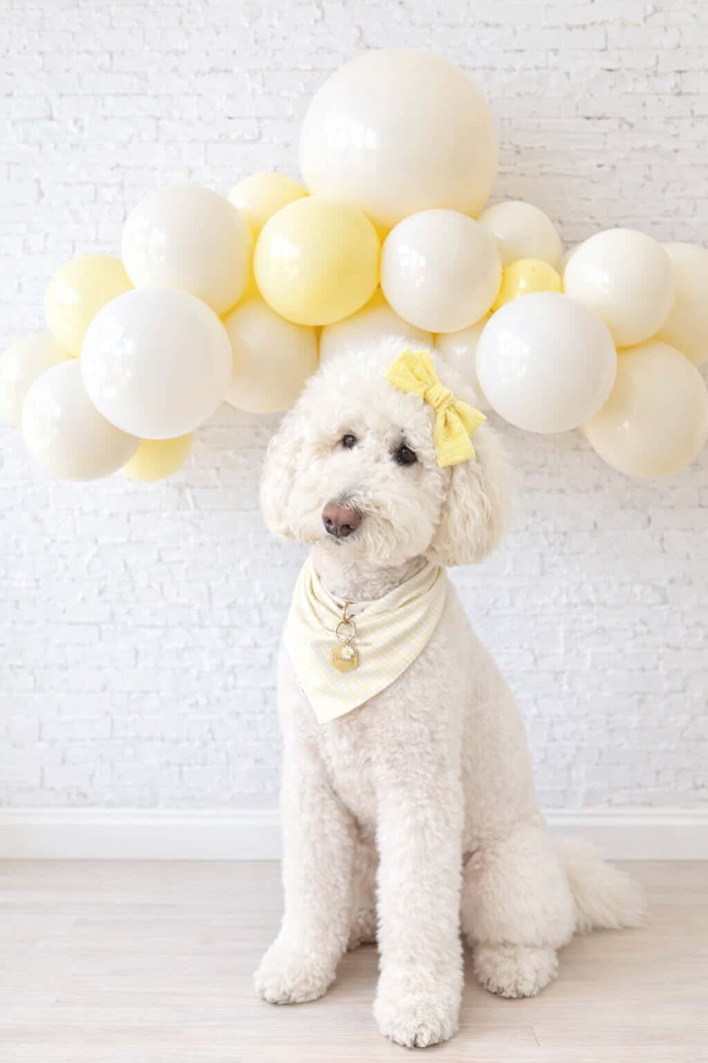 Blossom Bows Bandana