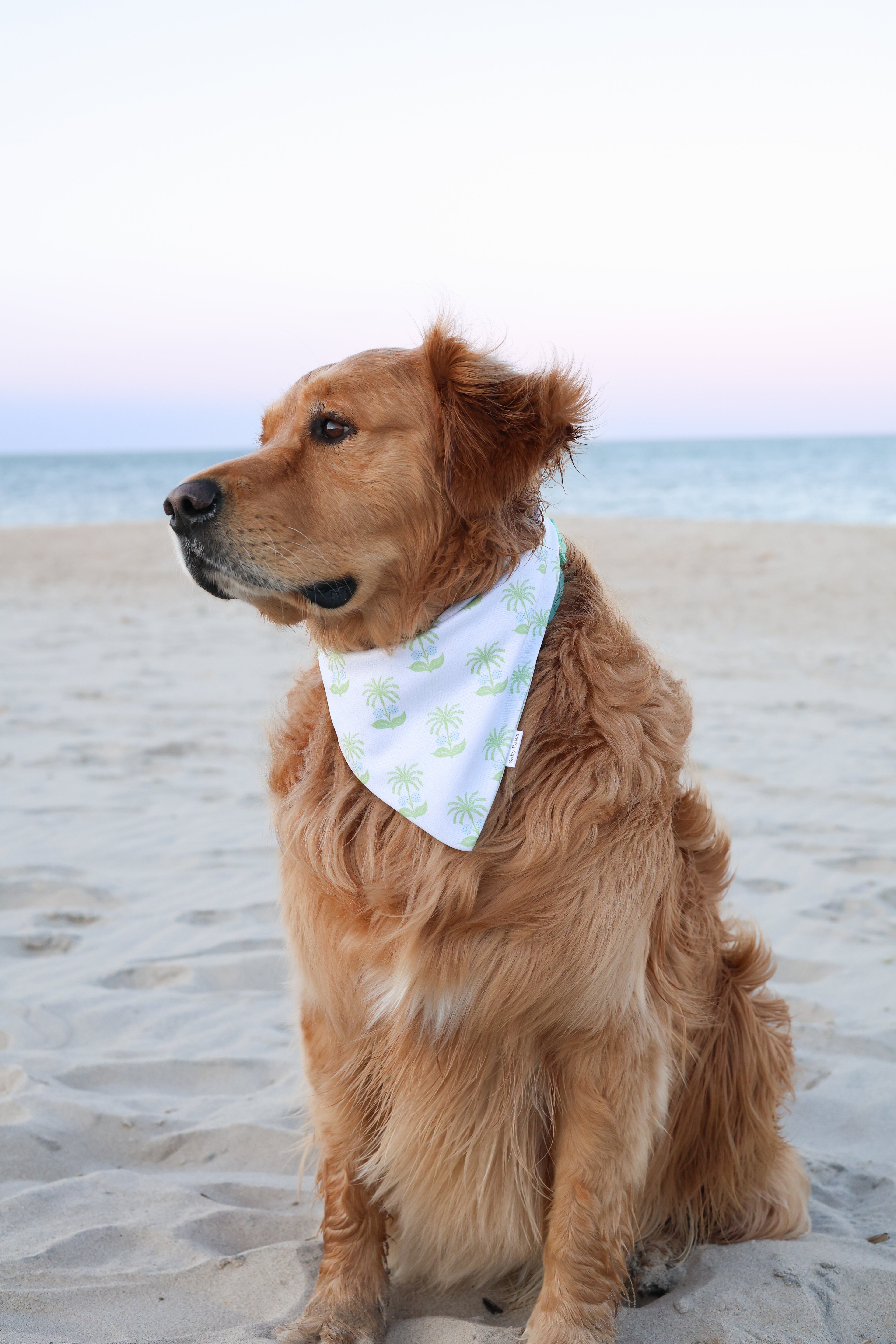 Shoreline Palms Bandana