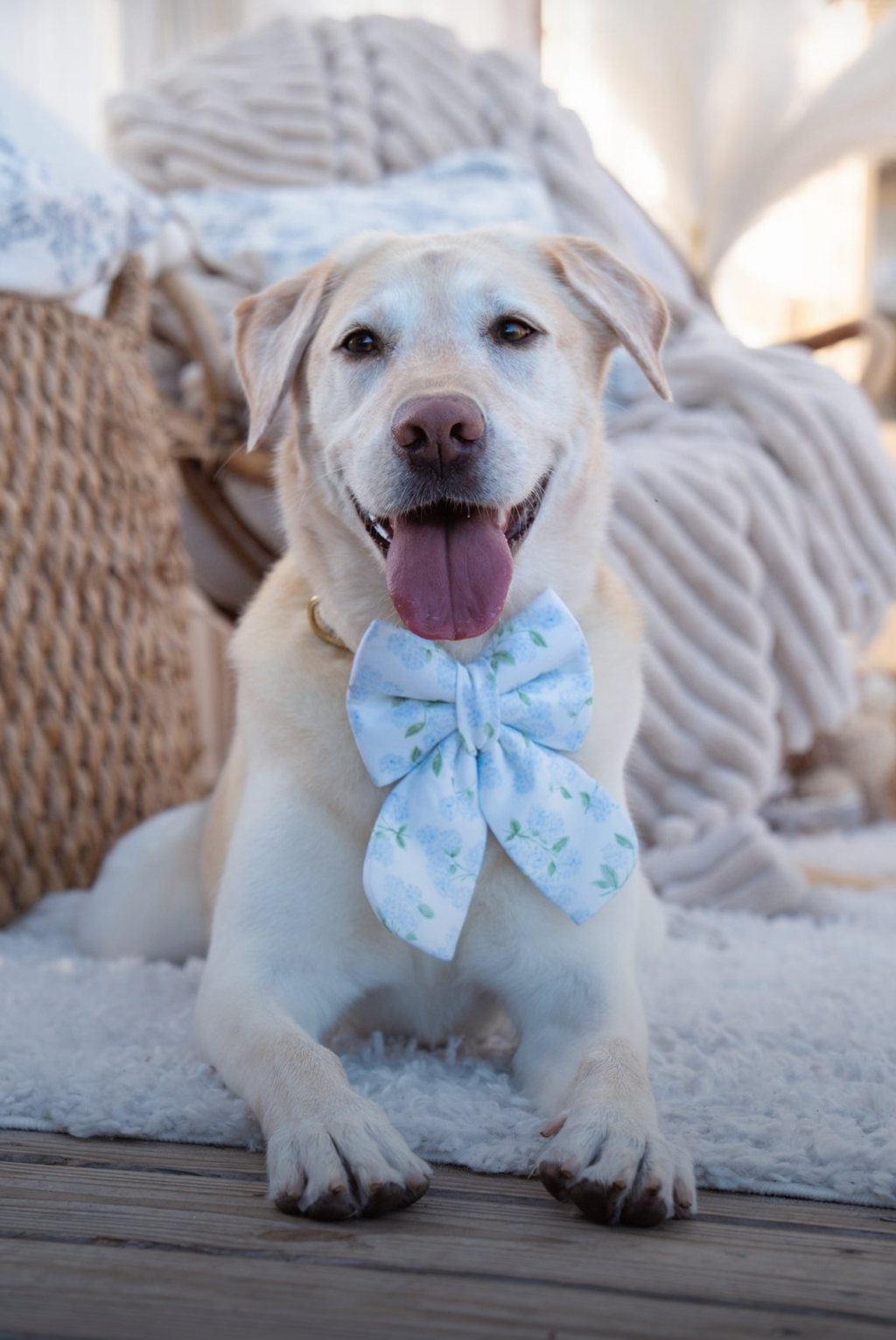 Hydrangea Social Bandana