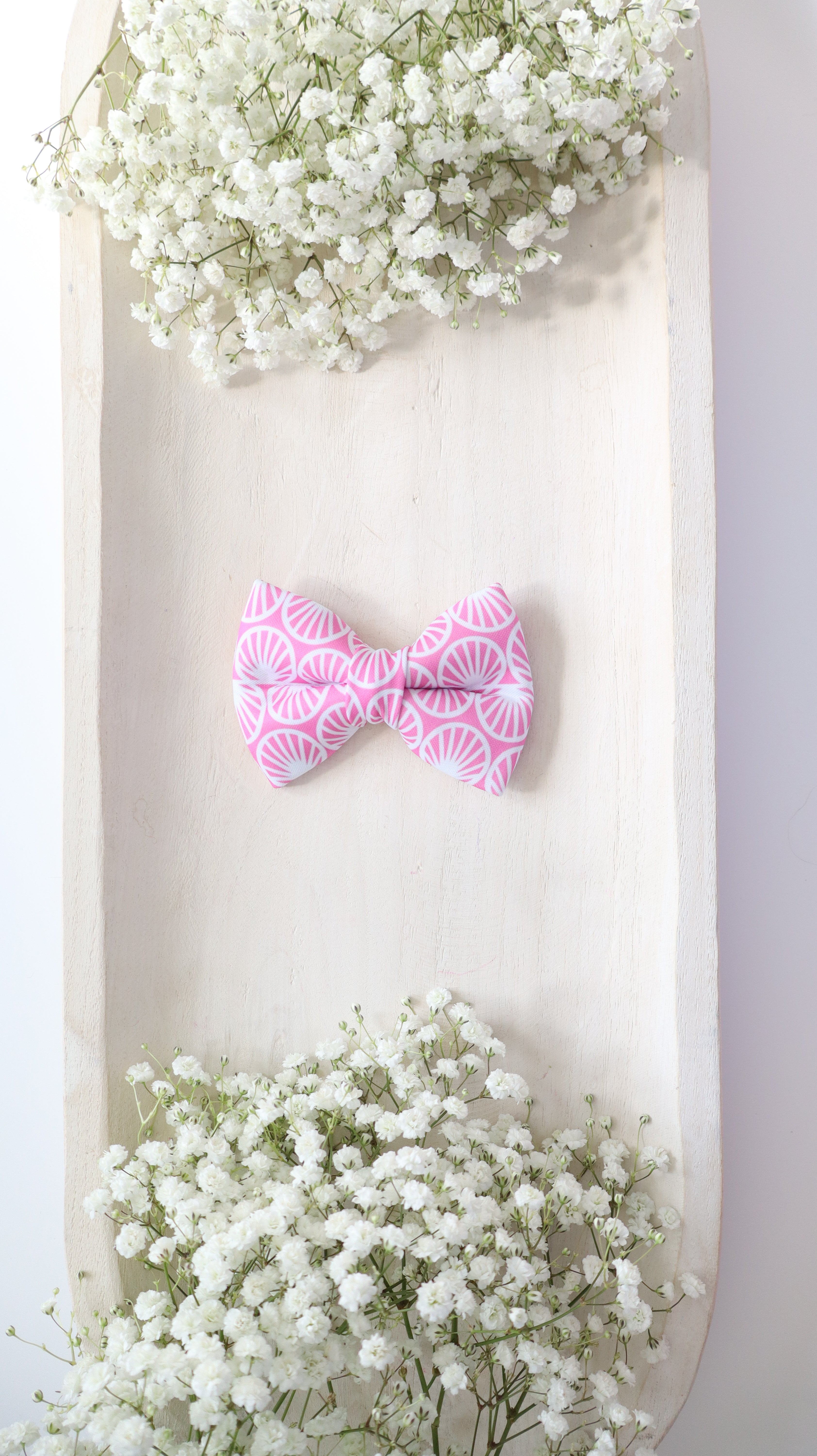 Colette Bow