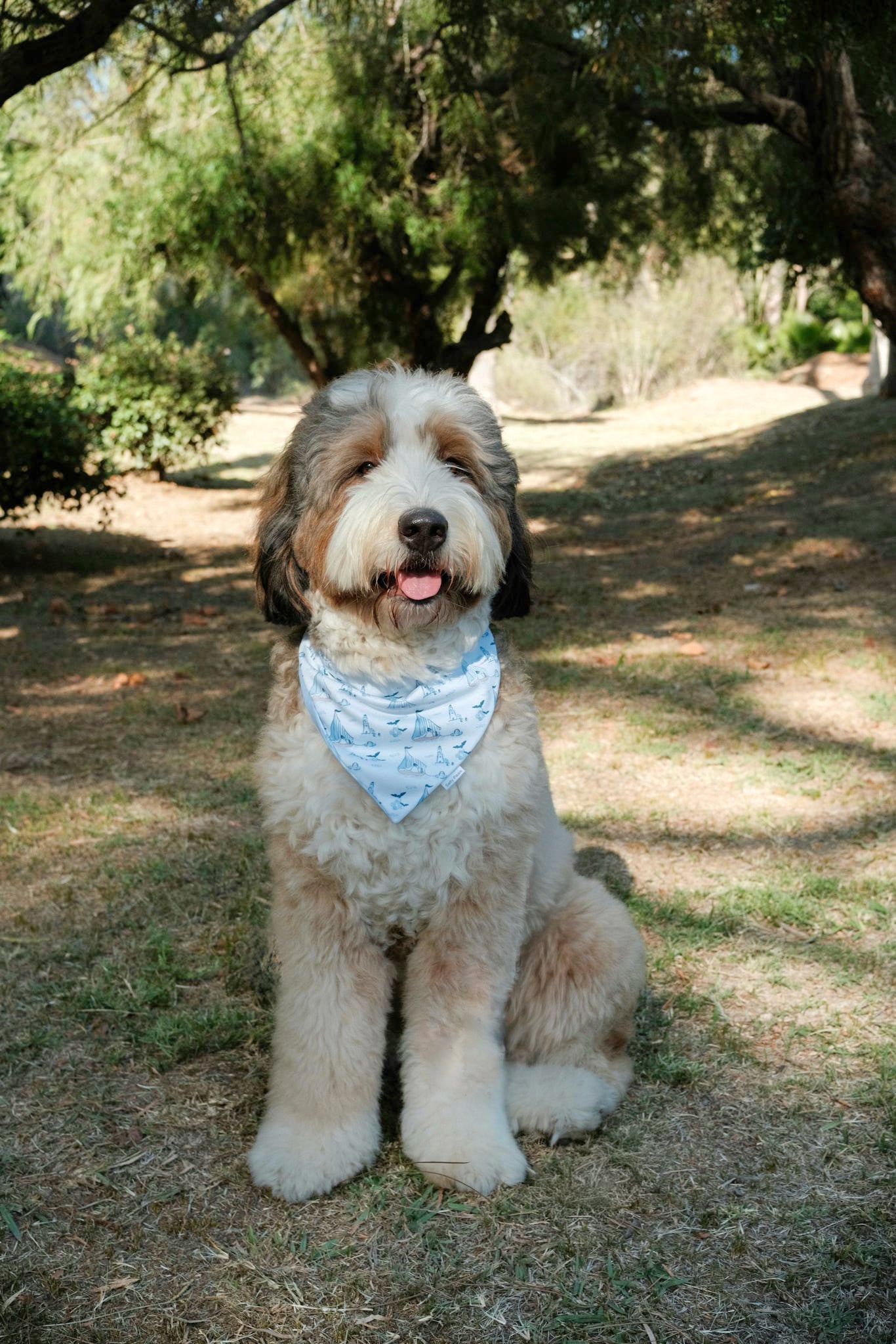 Spooky Harbor Bandana