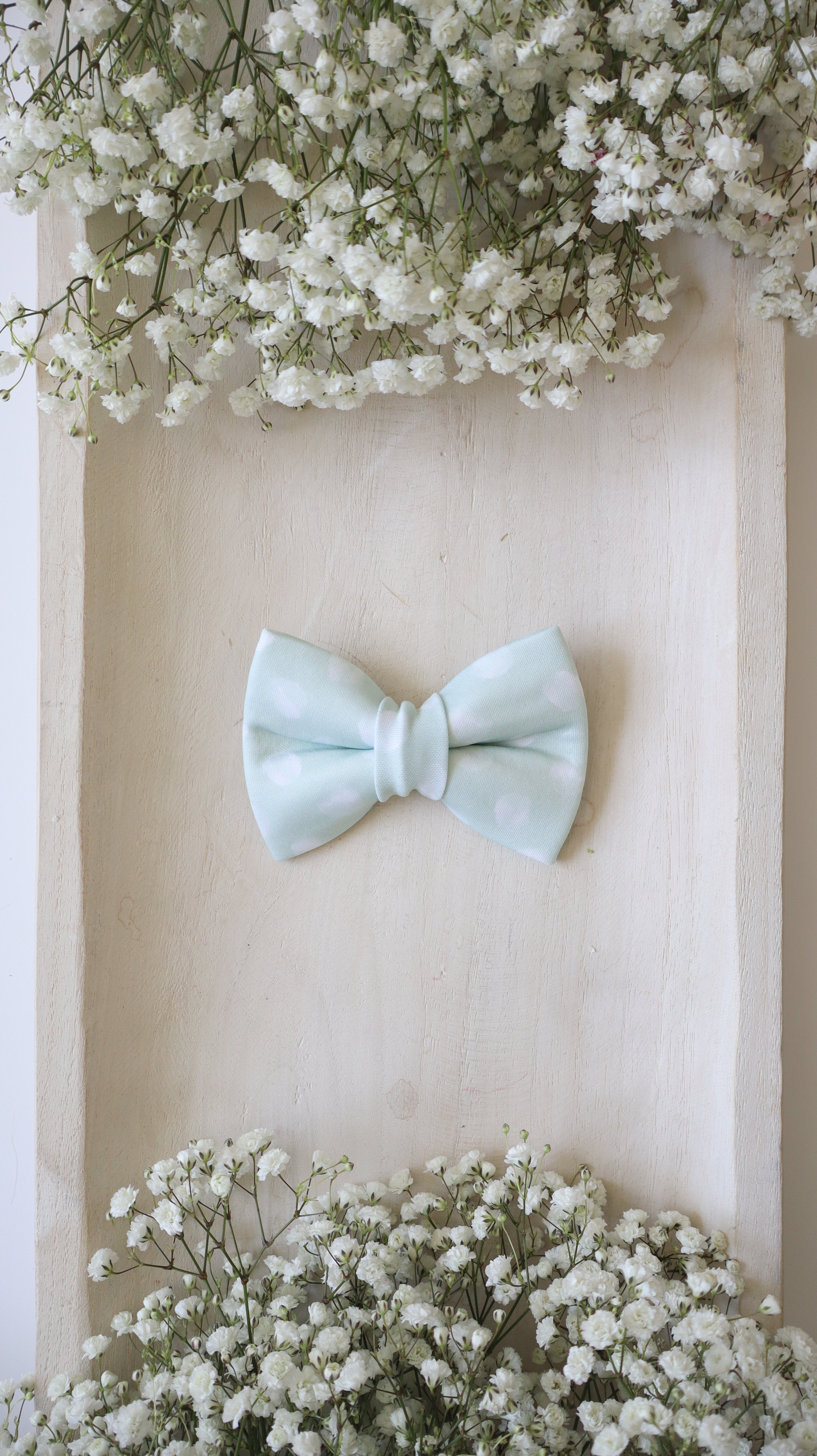 Sadie Bow