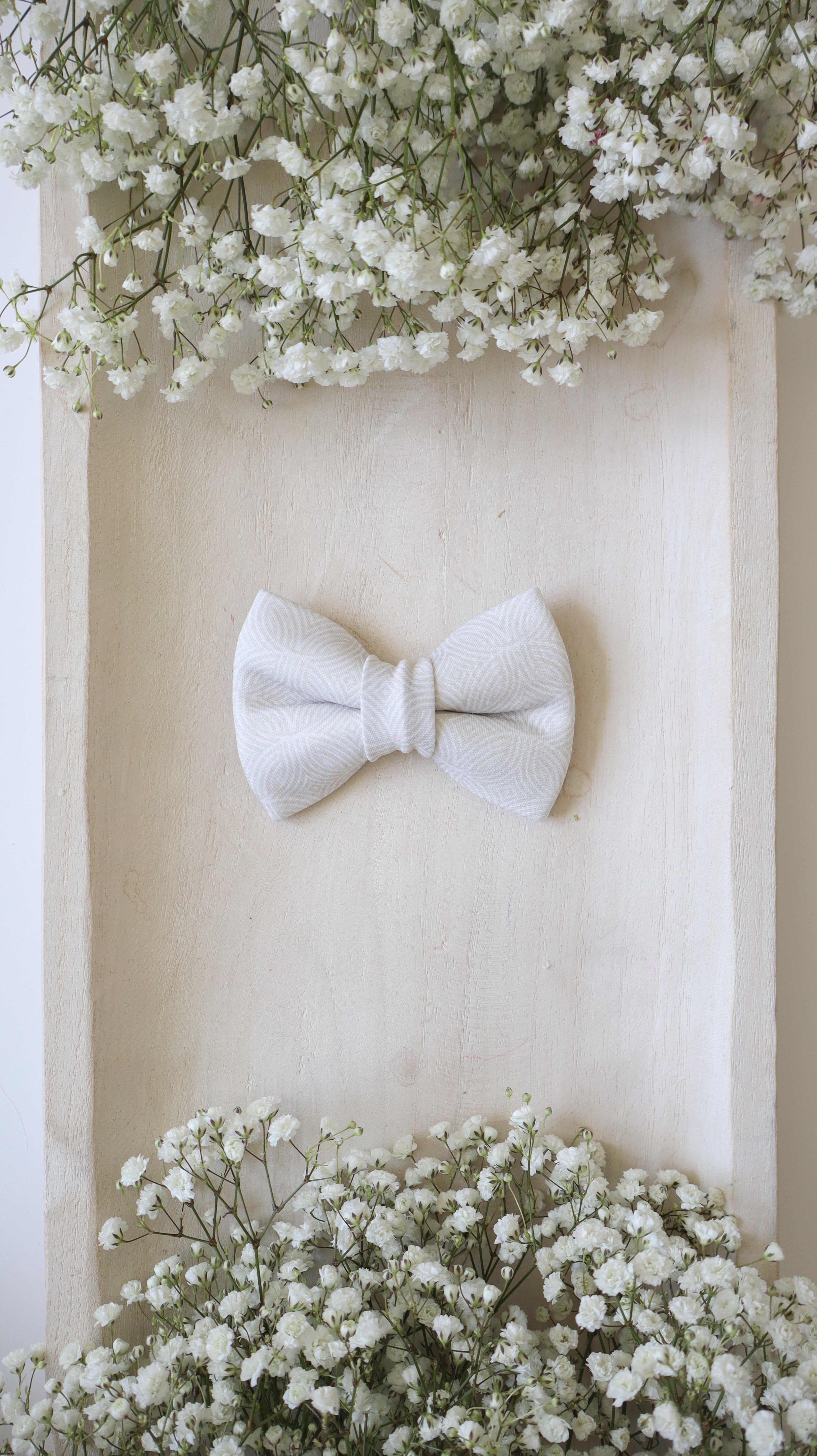 Oliver Bow