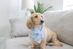 Tide and Tail Bandana