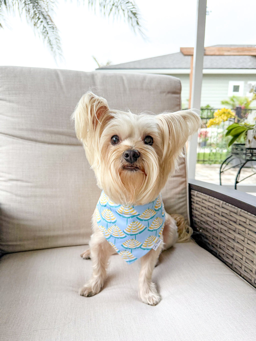 Limoncello Shade Bandana