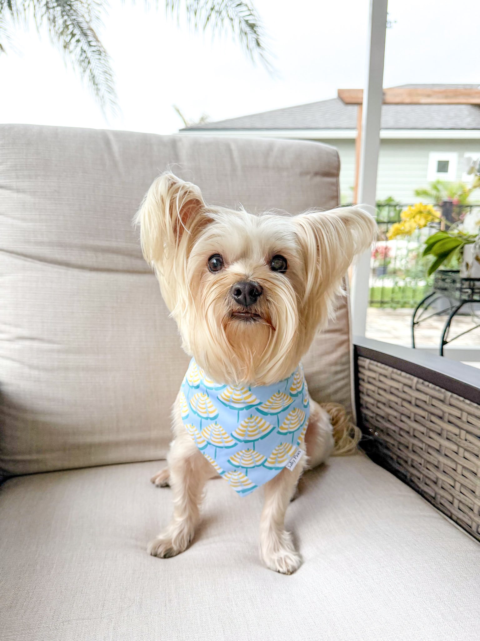Limoncello Shade Bandana