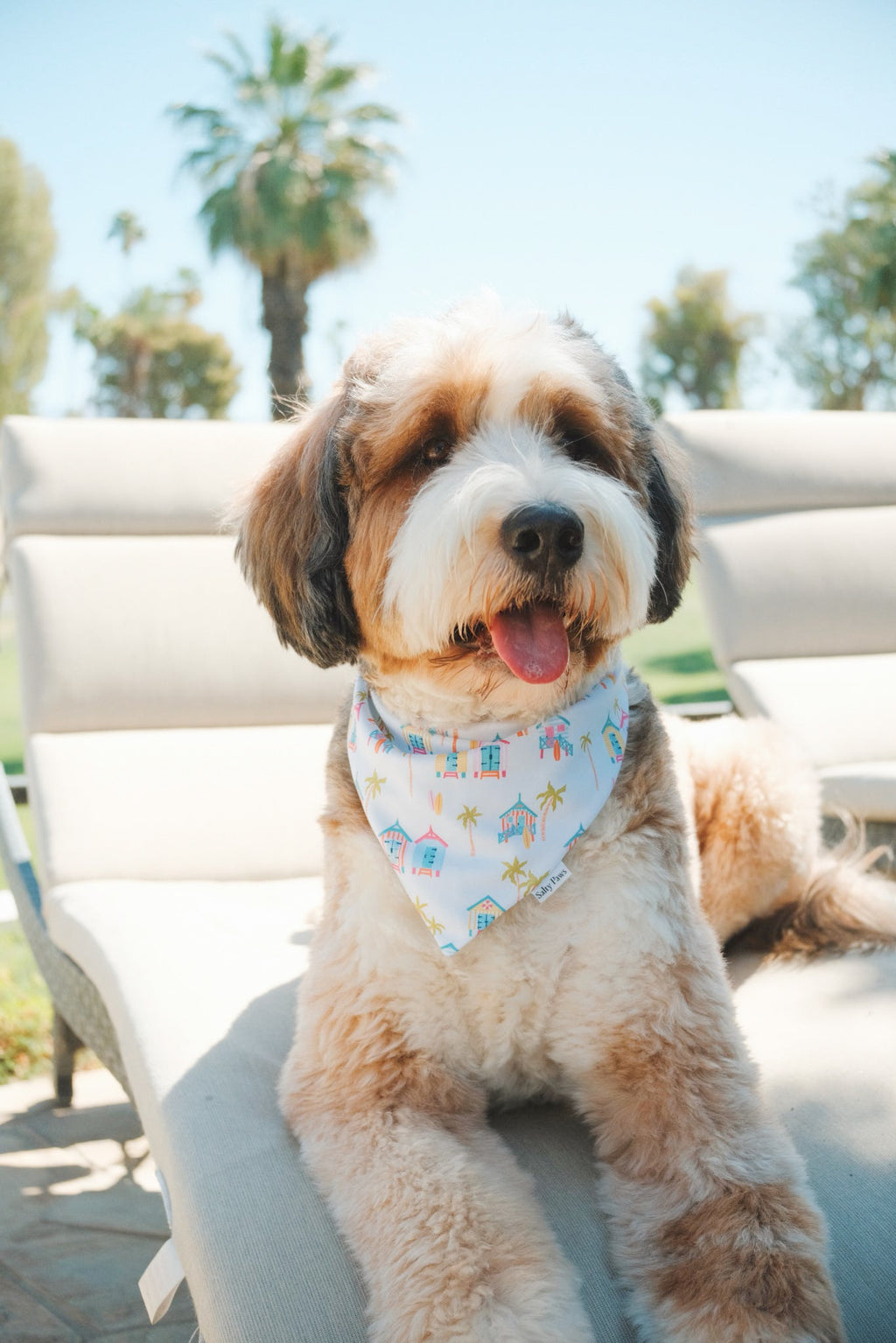 Cabana Getaway Bandana