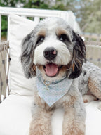 Isla Verde Bandana