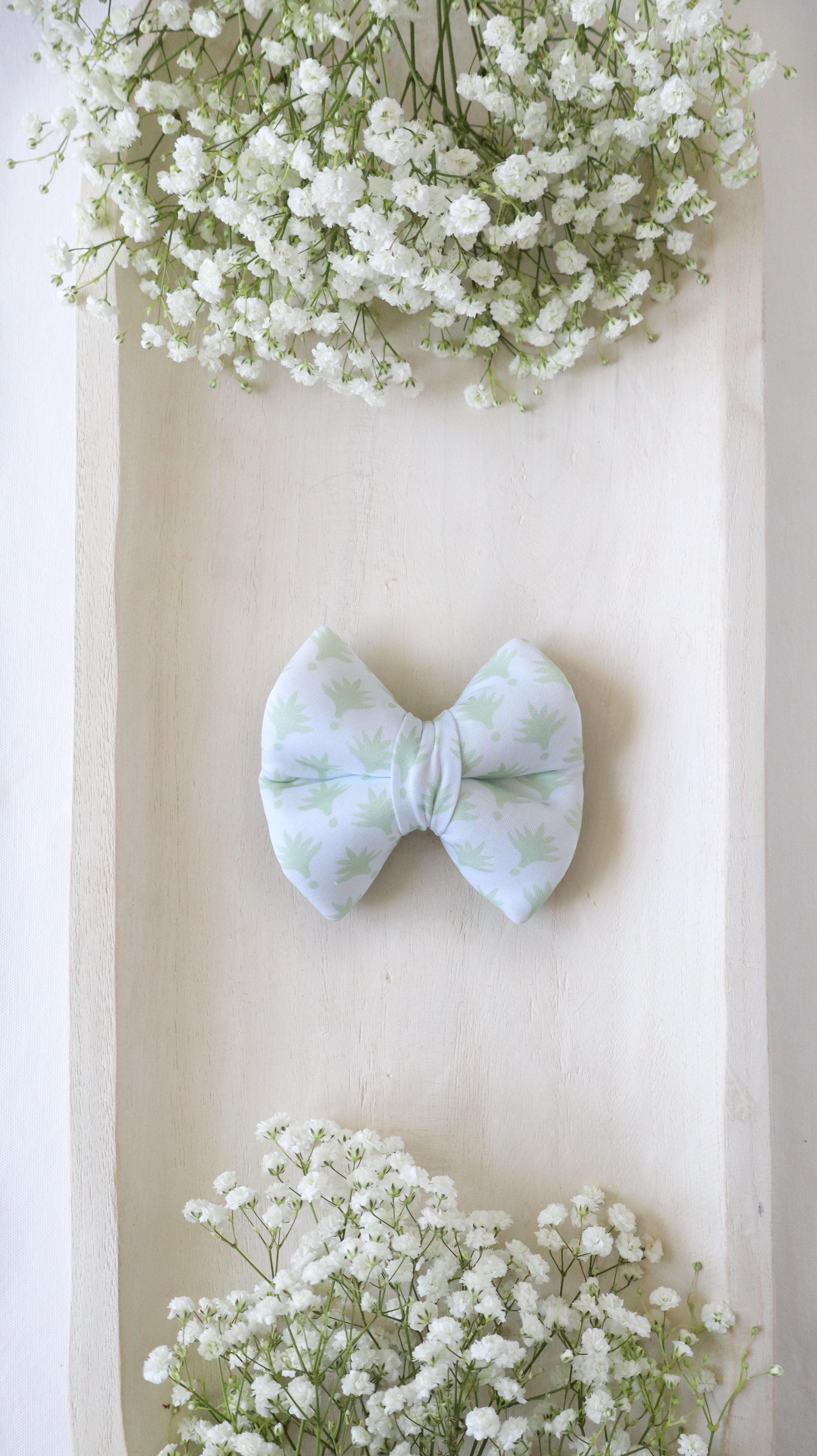 Agave Bow Tie