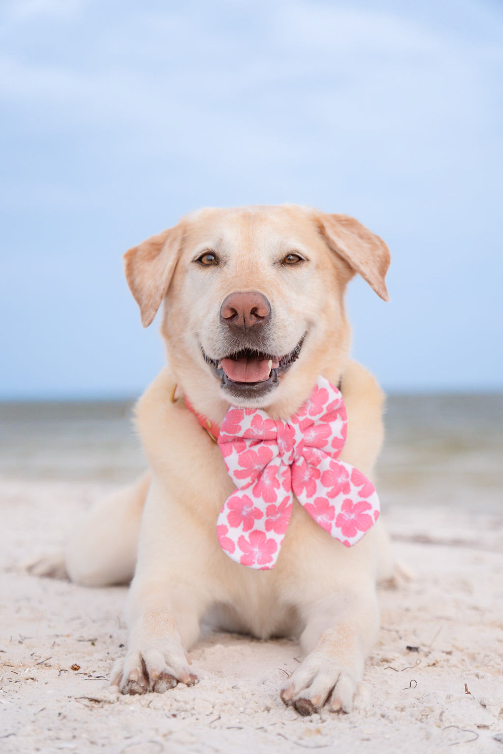 Island Blooms Bandana