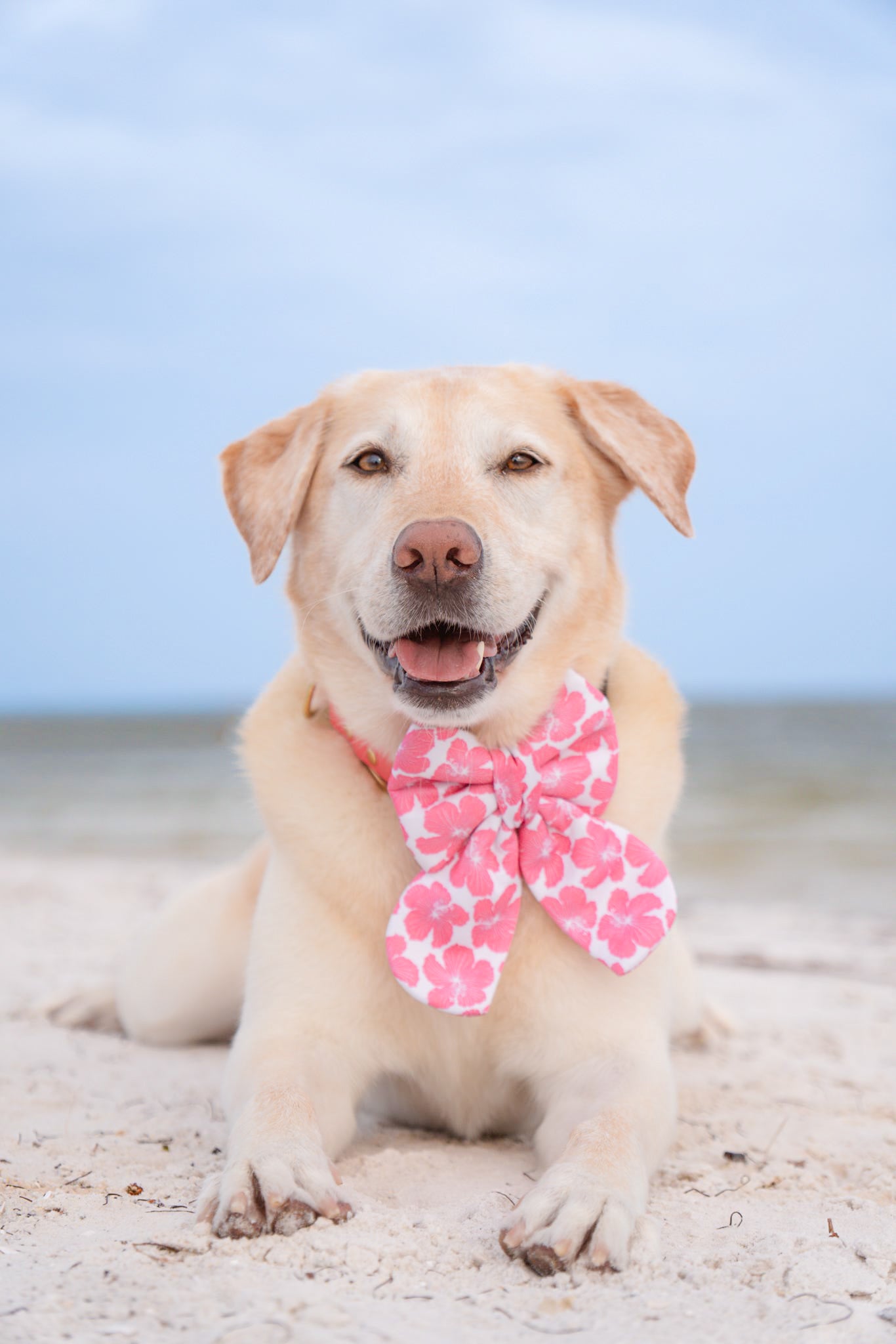 Island Blooms Bandana