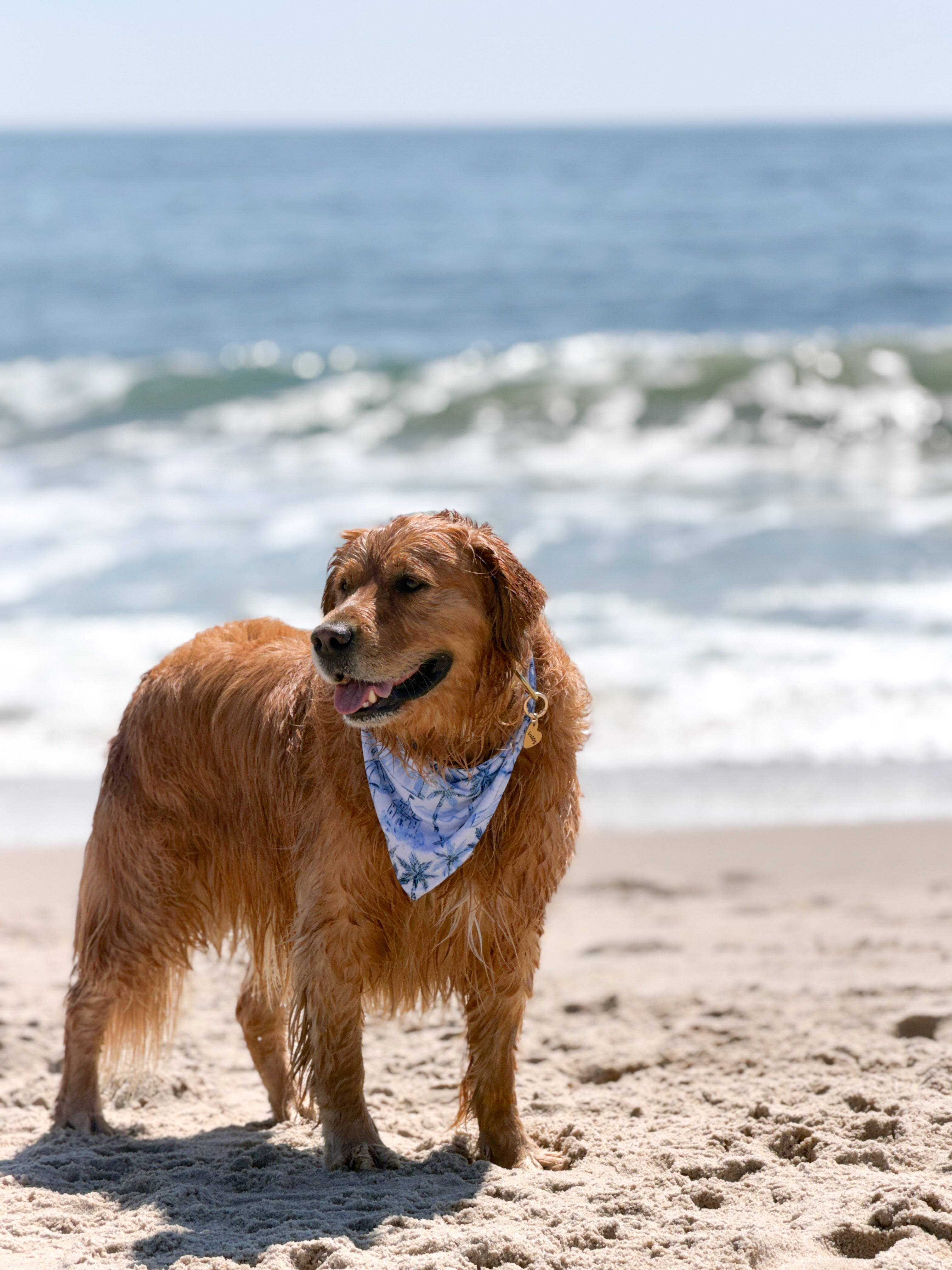 Coastal Getaway Bandana