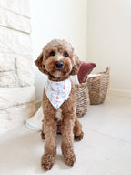 Jolly Workshop Bandana