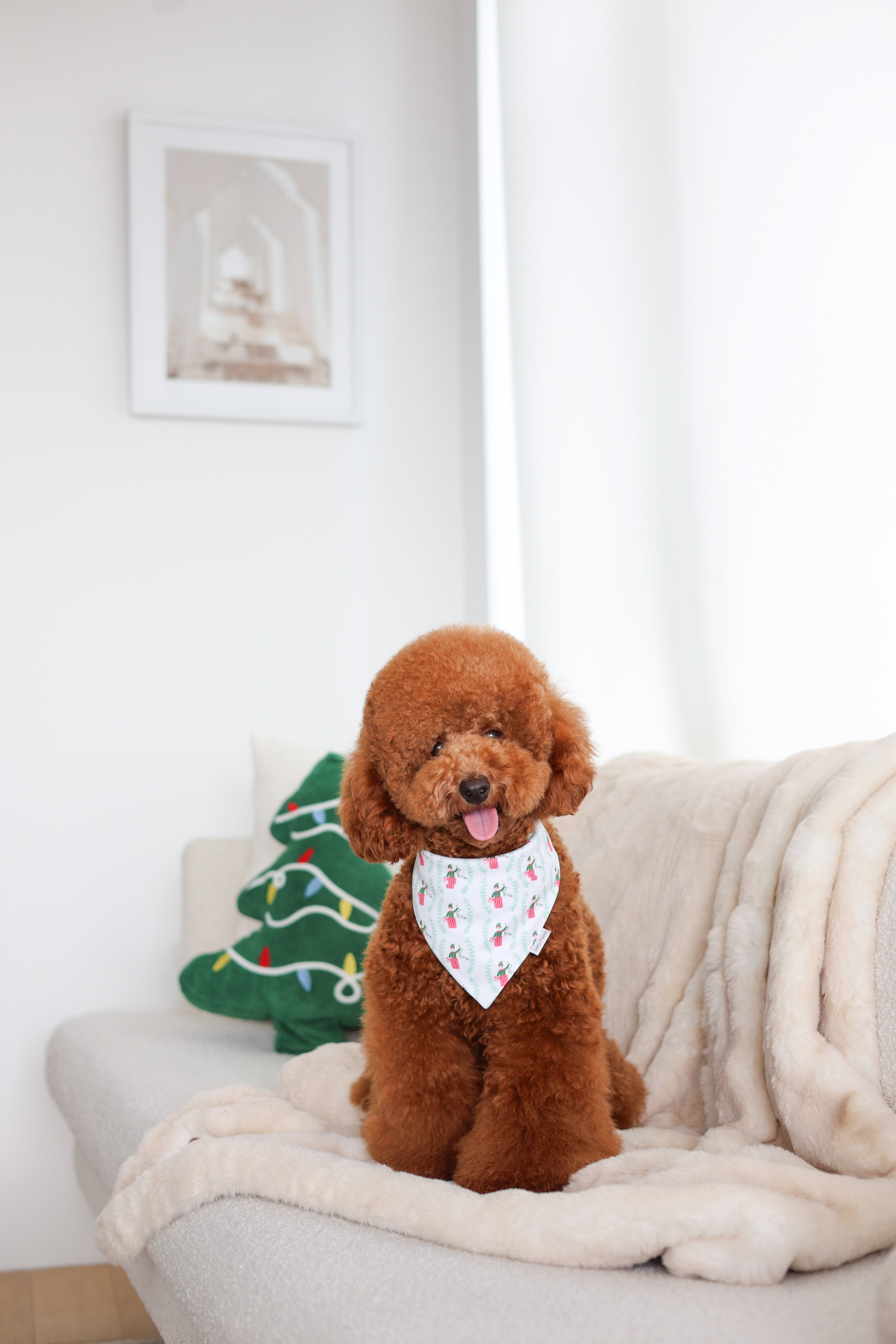 Elf and Evergreen Bandana