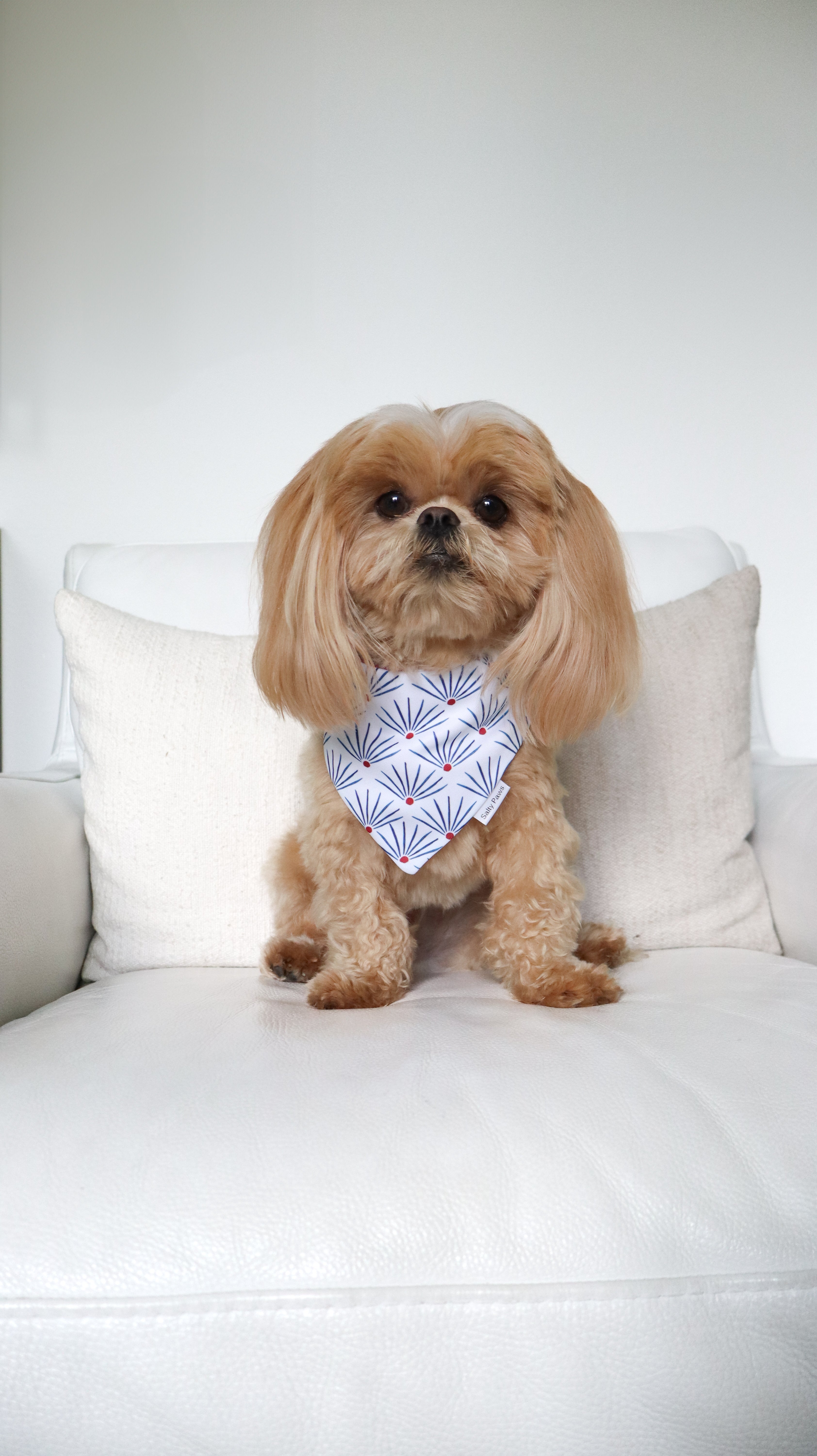 Star Spangled Bandana
