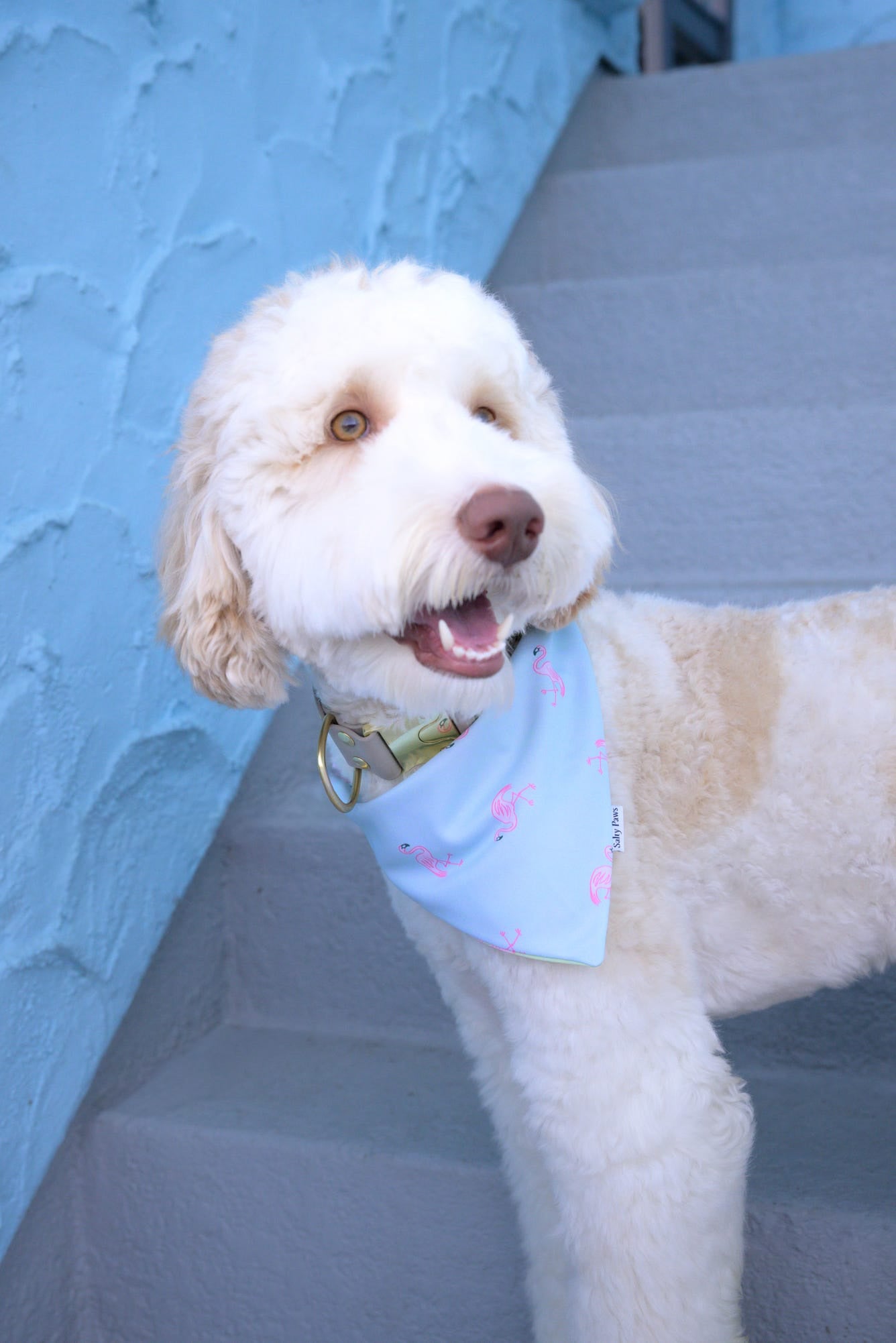 Flamingo Bay Bandana
