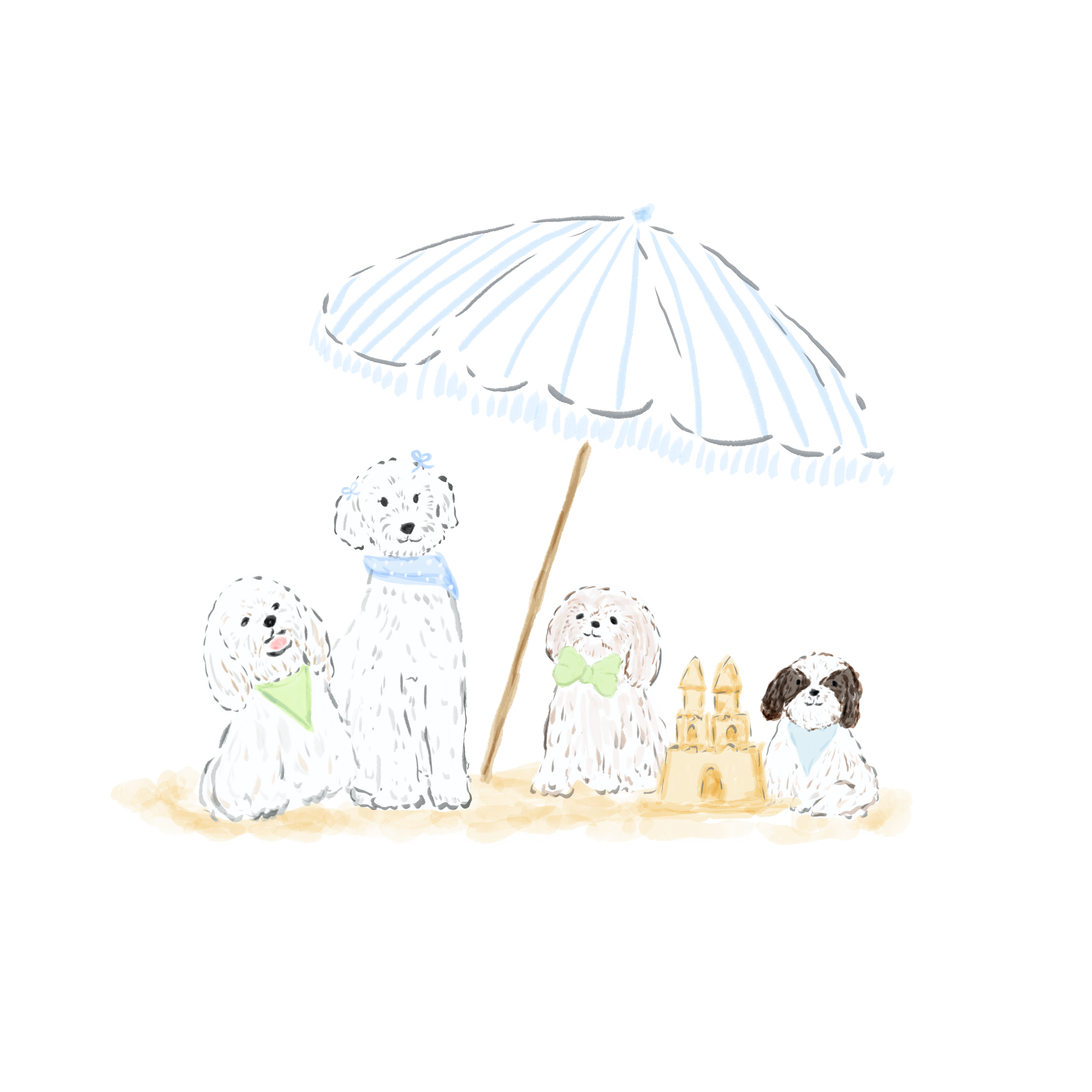 Salty Paws Pet Boutique 