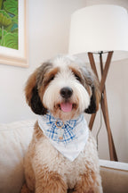 Whisp and Wander Bandana