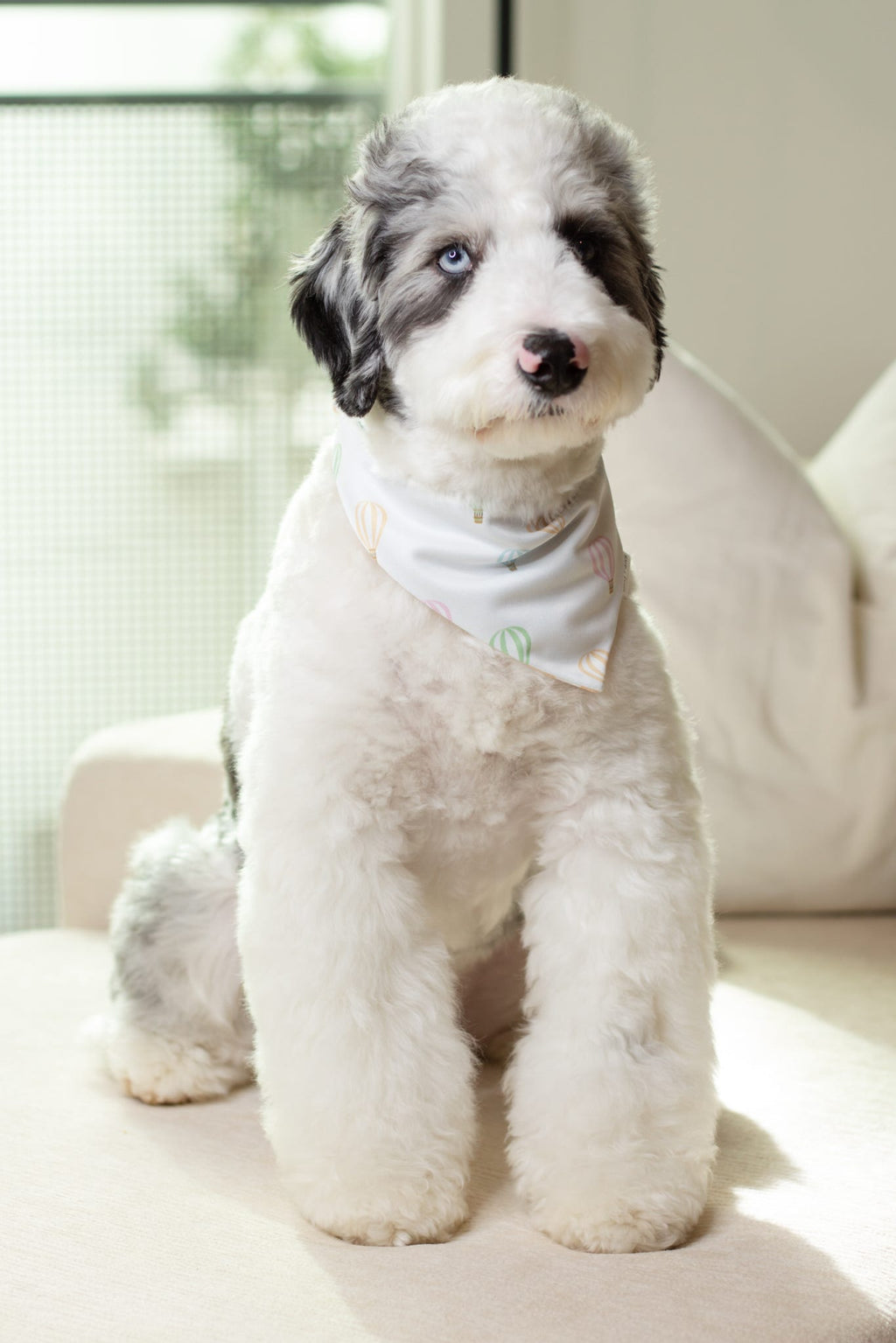 Ryder Bandana