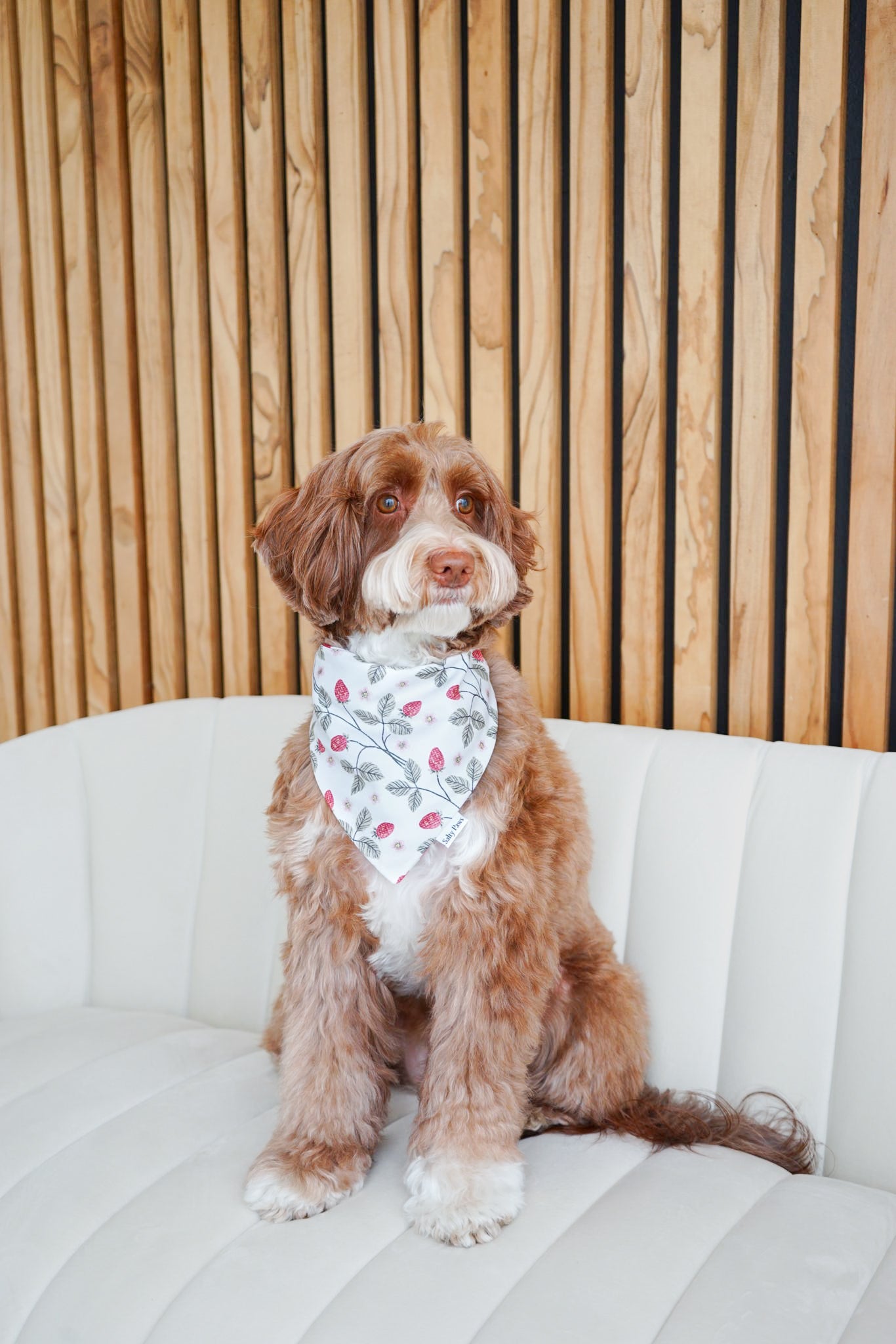 Blooming Berries Bandana