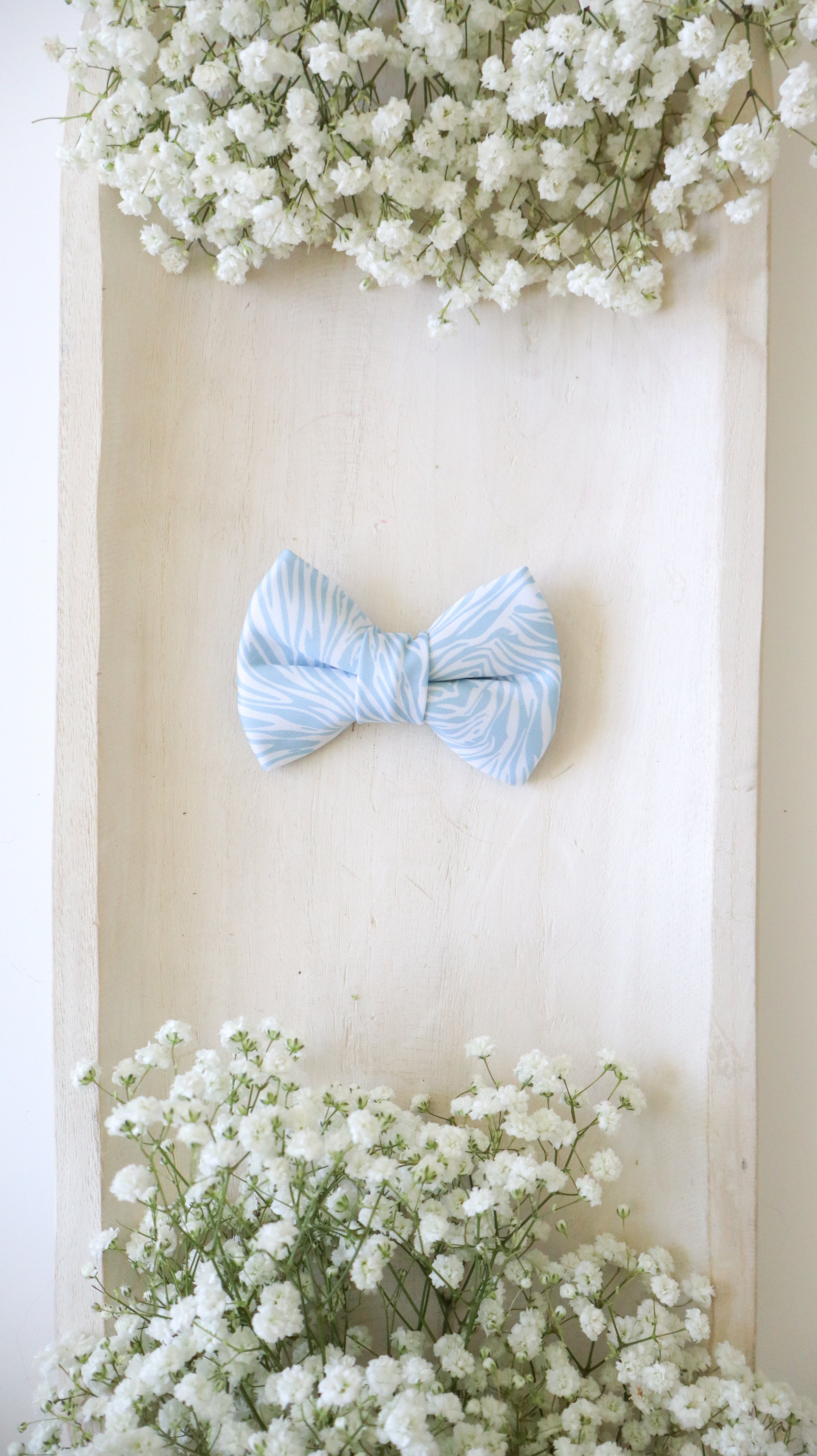 Louise Bow