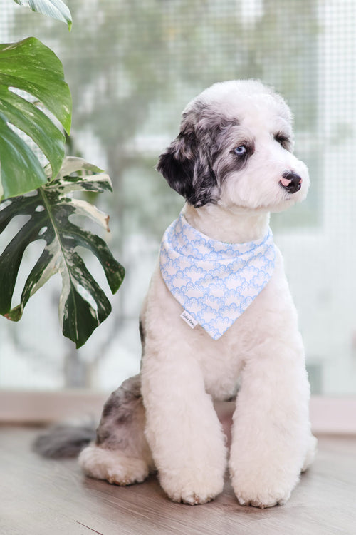 Aviator Lane Bandana