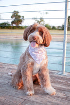 Goose and Garden Bandana