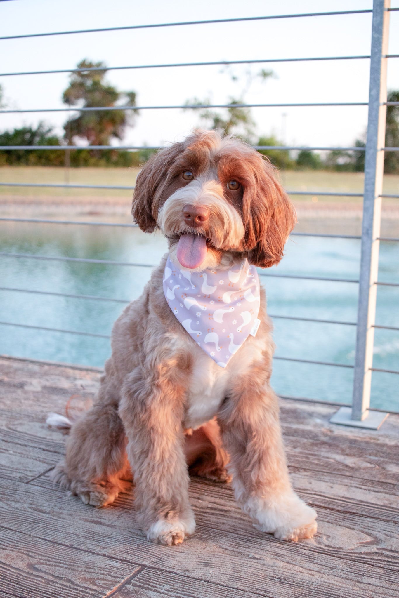 Goose and Garden Bandana