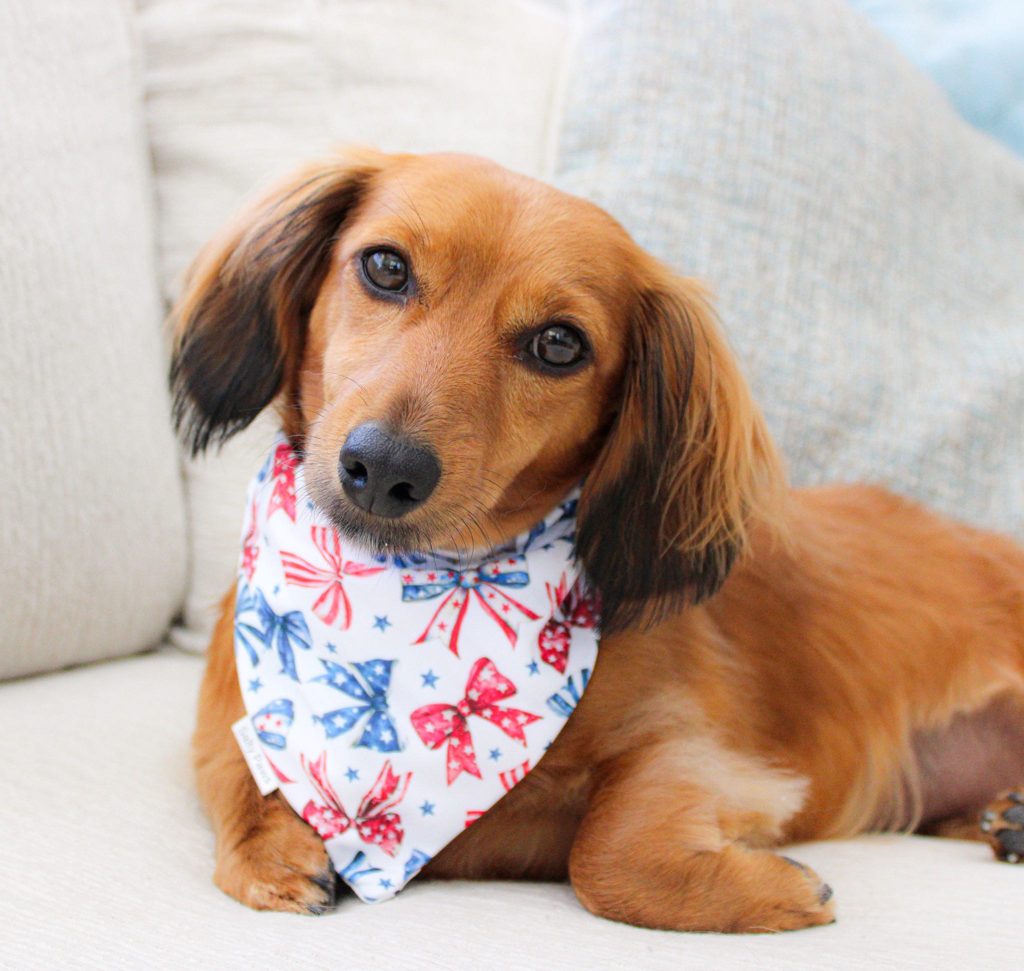 All American Bandana
