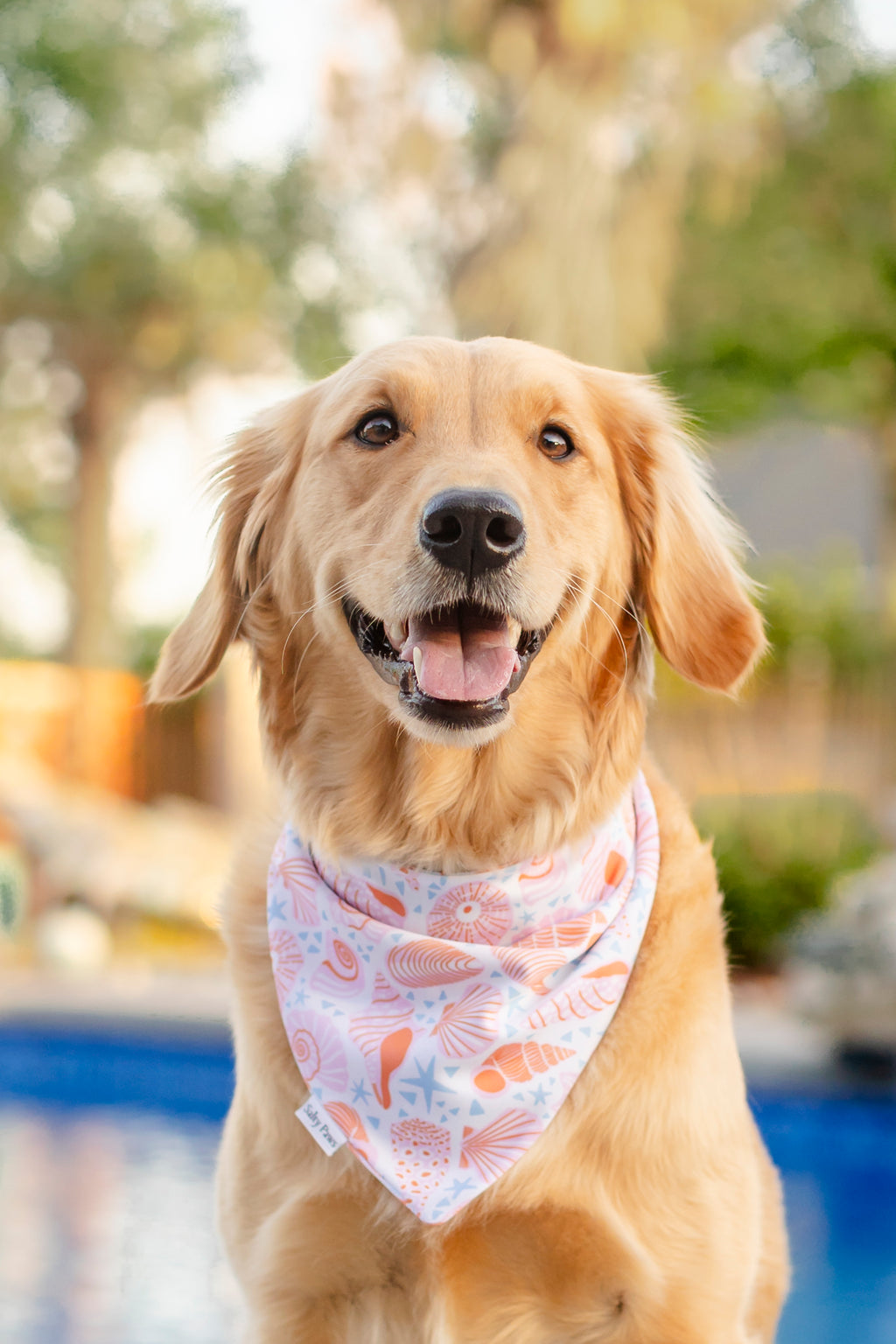 Palm Haven Bandana