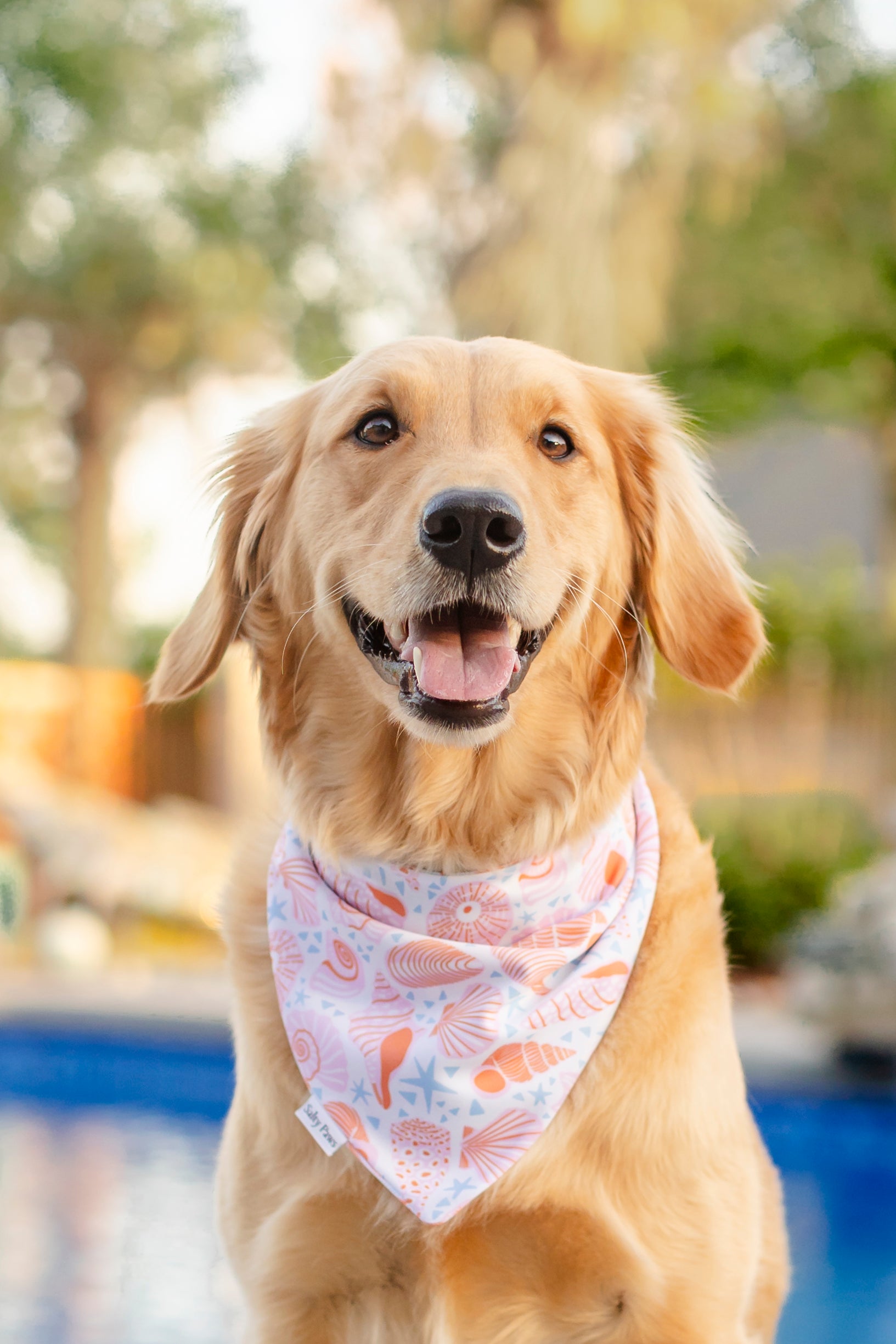 Palm Haven Bandana