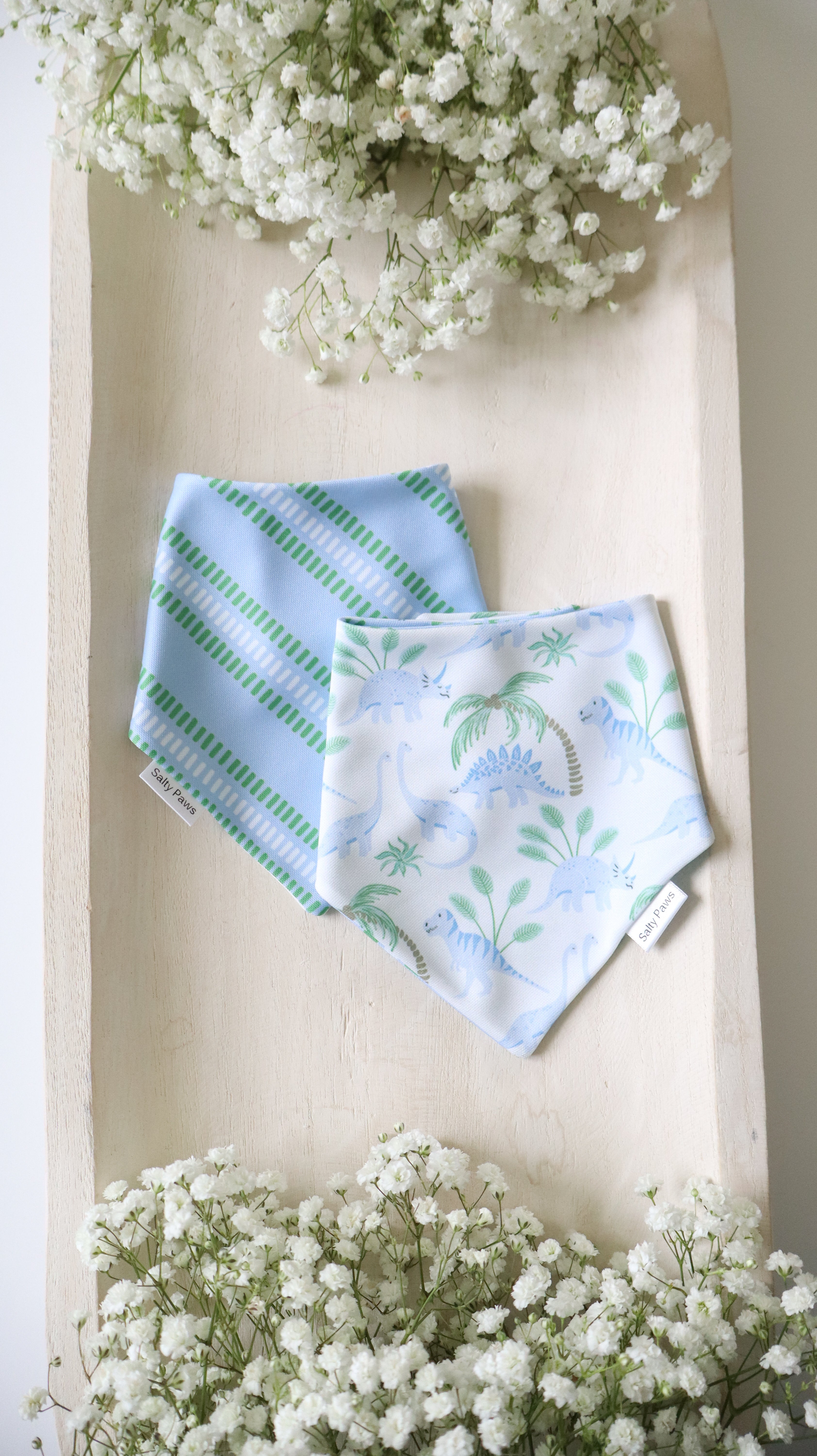 Dino Bay Bandana