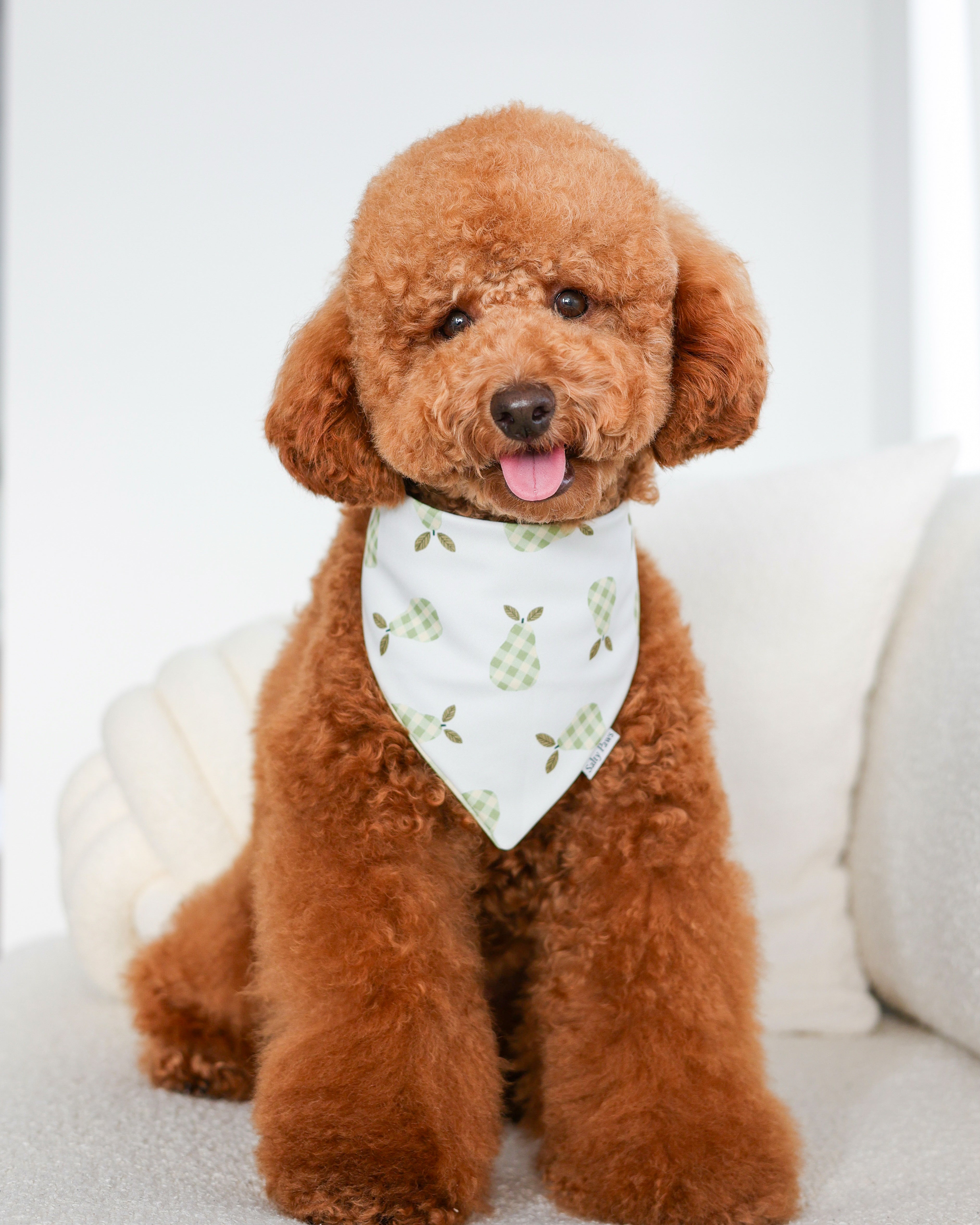 Cottage Pear Bandana