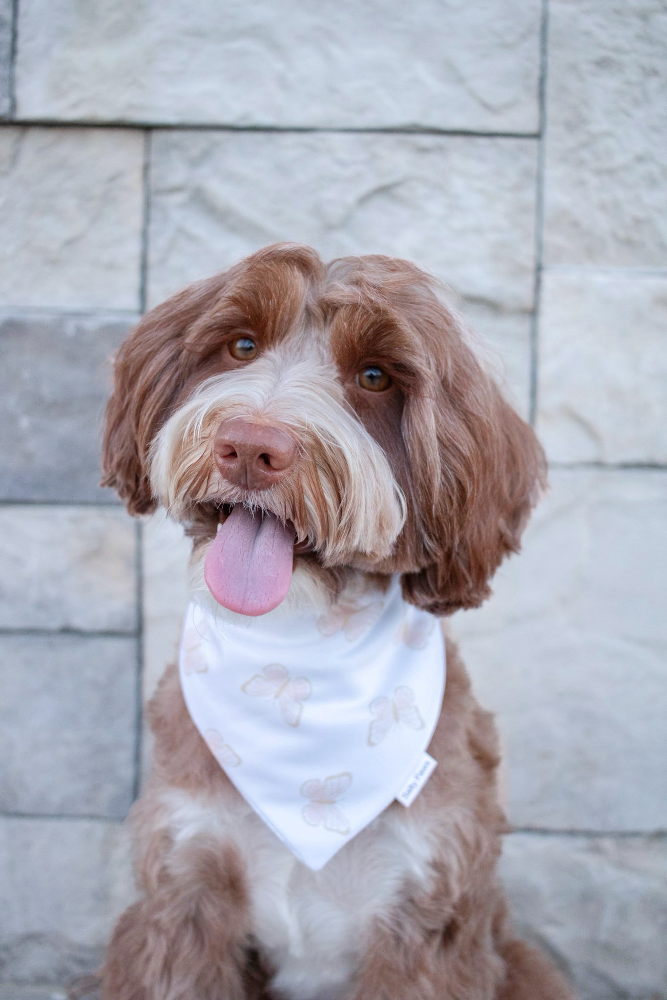 Wildflower Wings Bandana