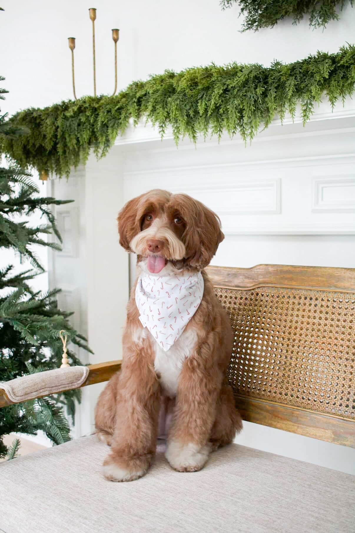 Yuletide Dash Bandana