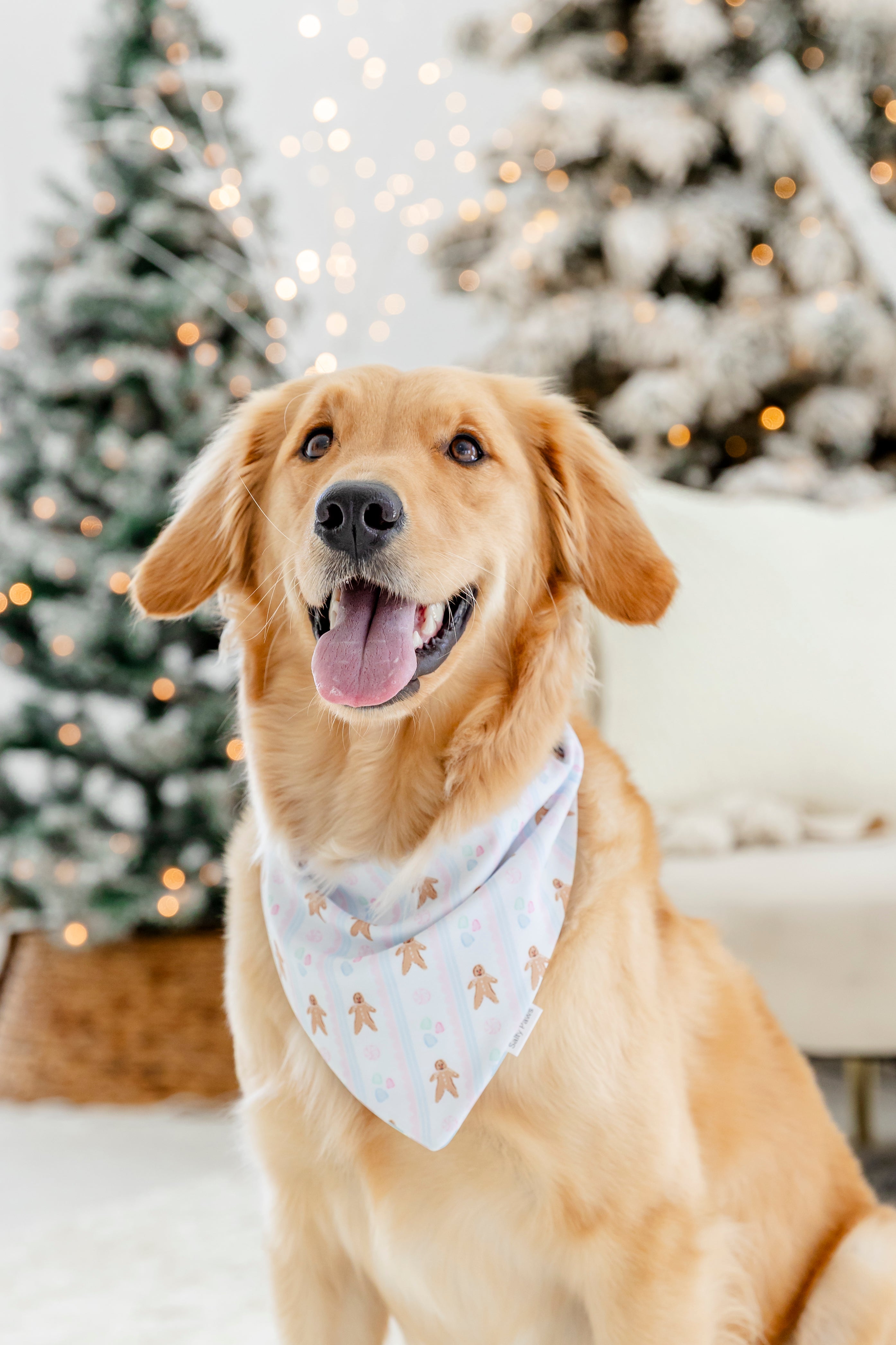 Gingerbread Lane Bandana