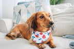 Patriotic Picnic Bandana