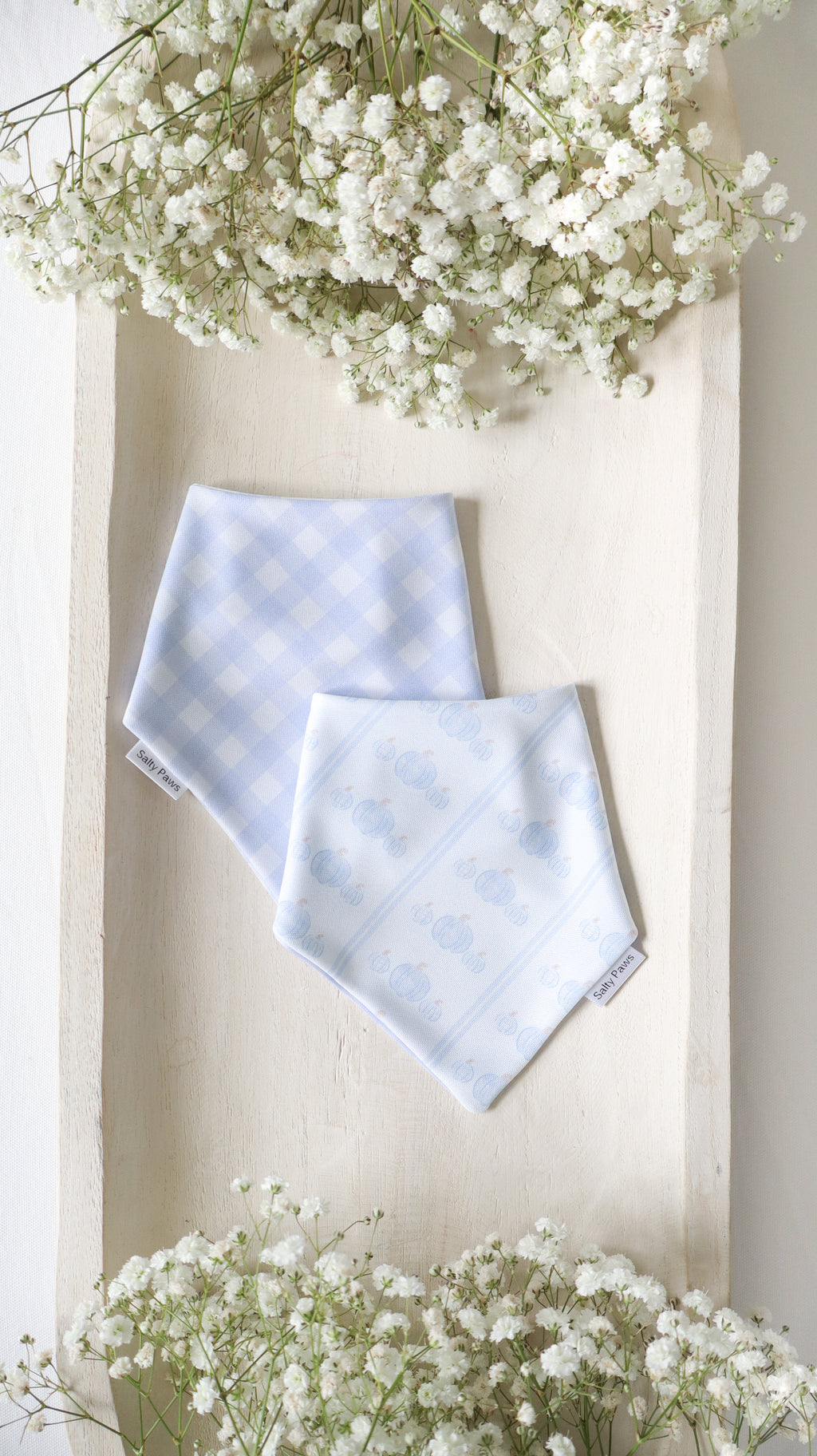 Pumpkin Harvest Bandana