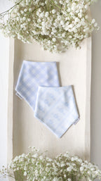 Pumpkin Harvest Bandana