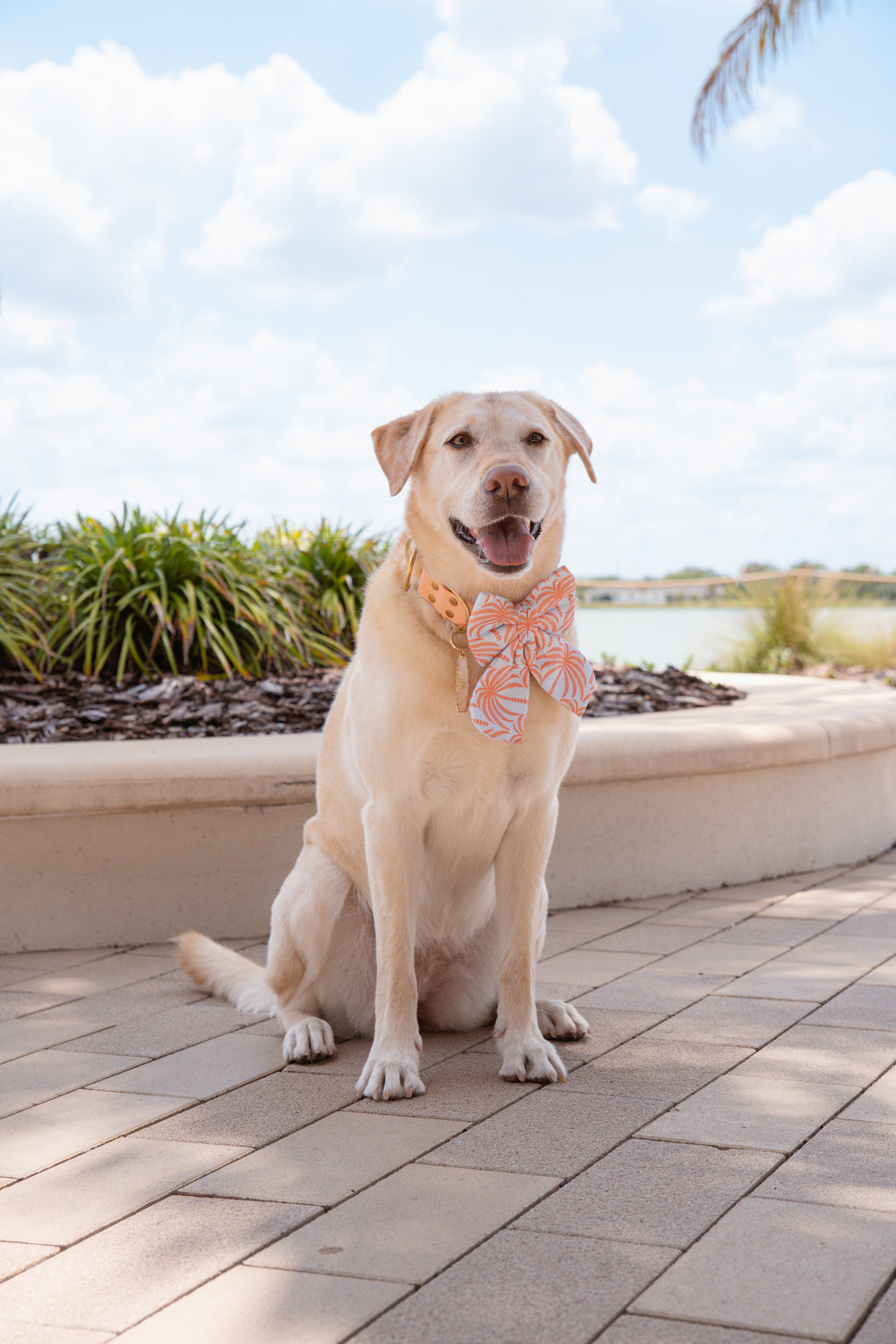 Palm Haven Bandana